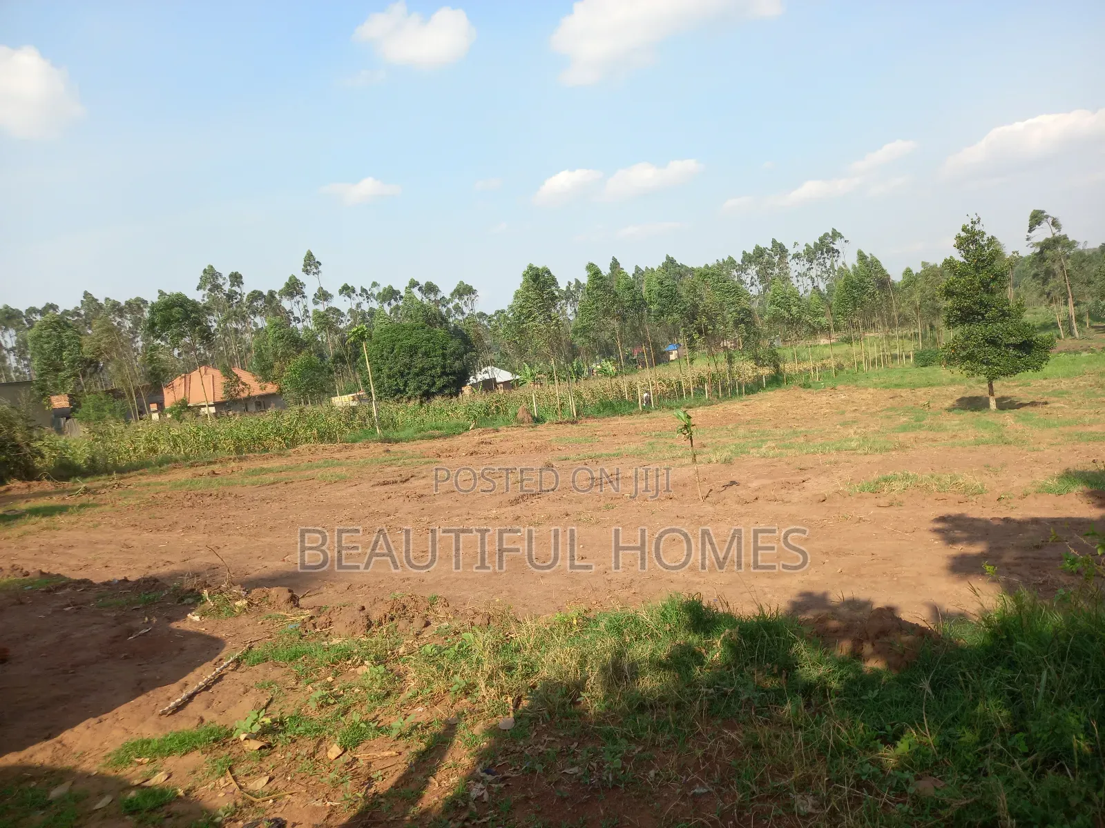 Gayaza Plots on Quick Sale in Kira