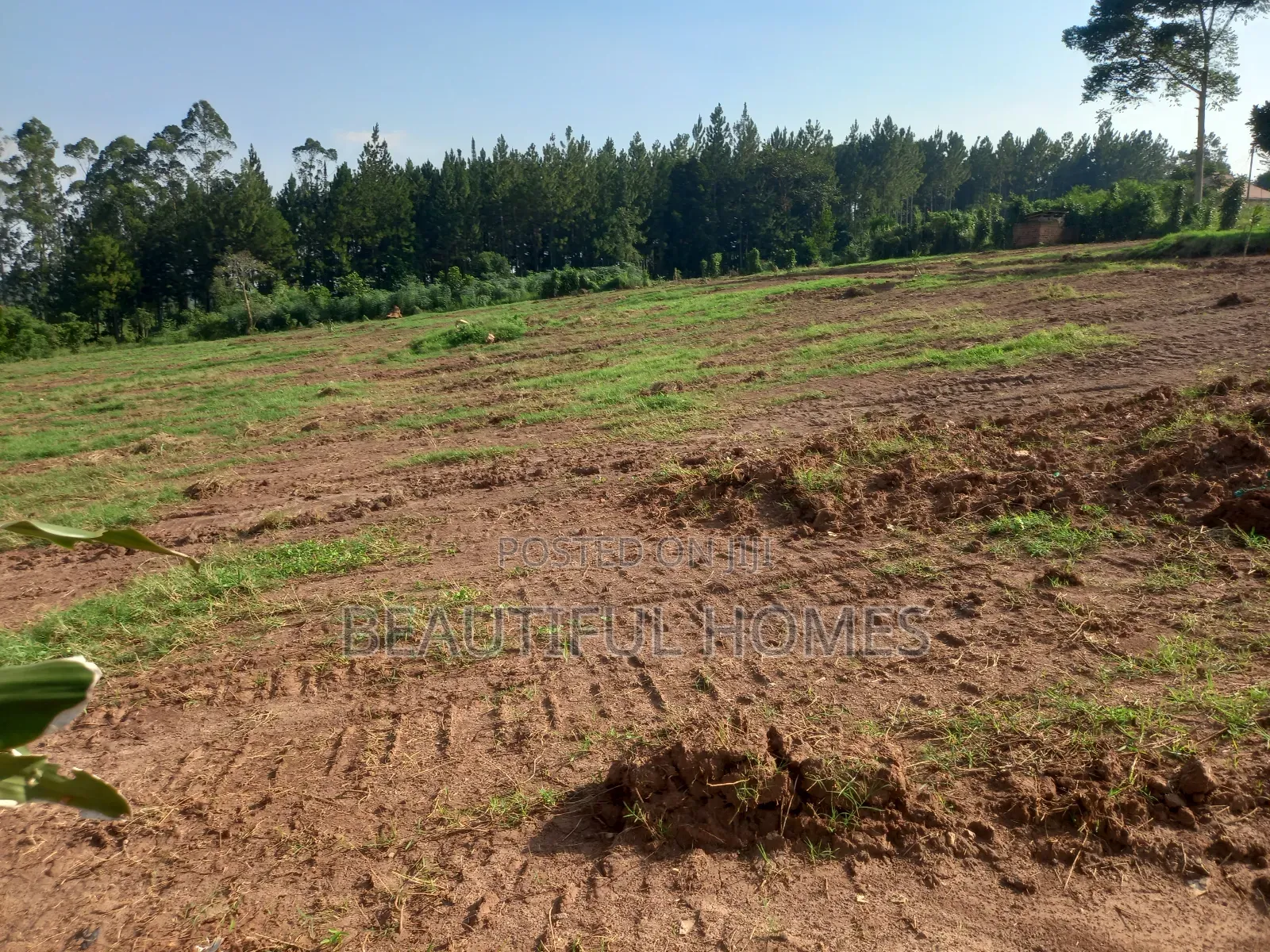Gayaza Posh Plots on Sell in Kira