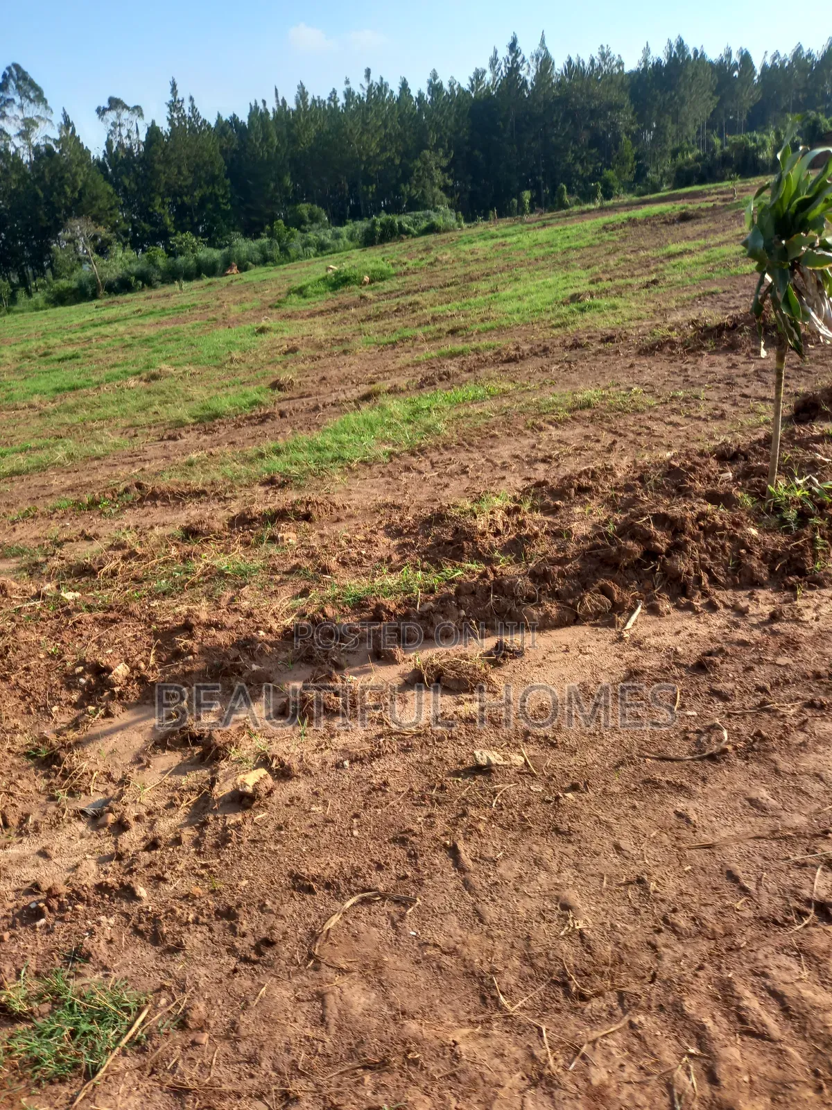 Gayaza Posh Plots on Sell in Kira