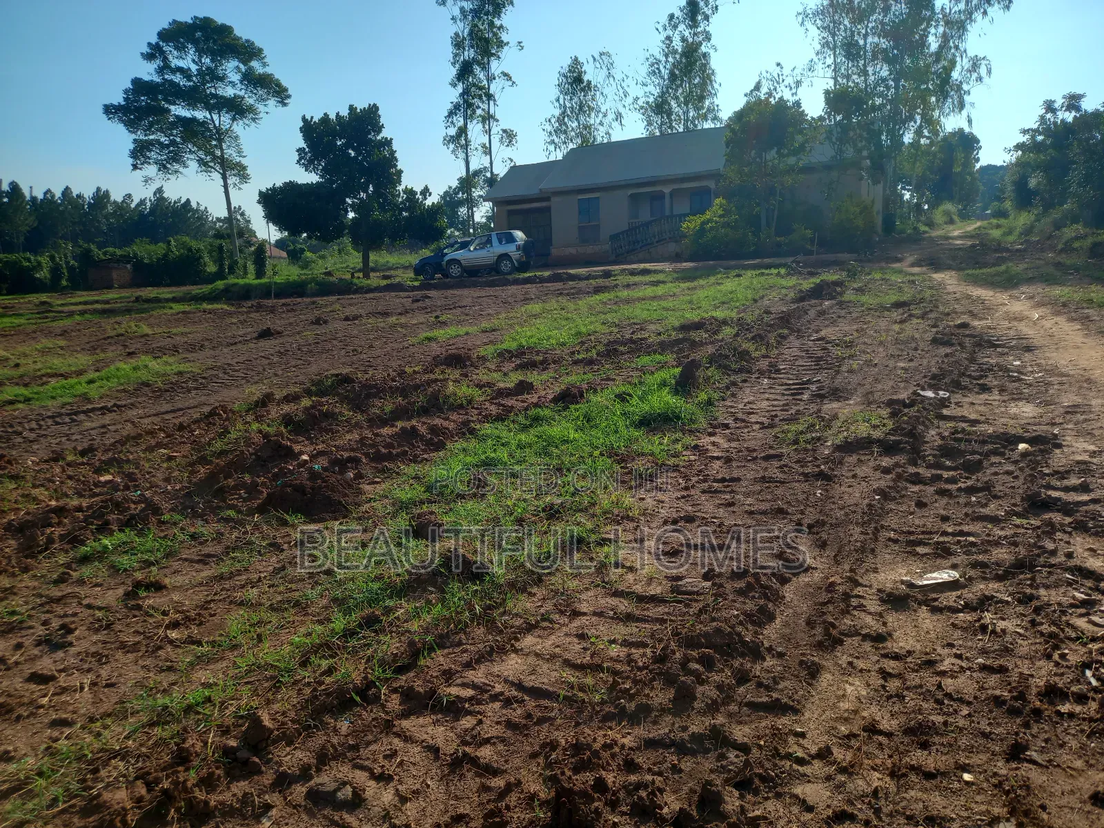 Kira Gayaza on Sell in Kira