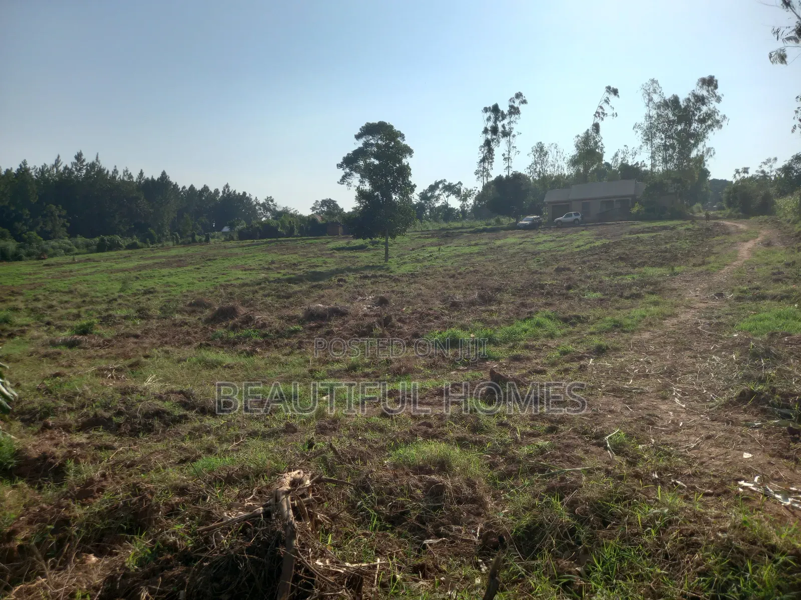 Kira Gayaza on Sell in Kira