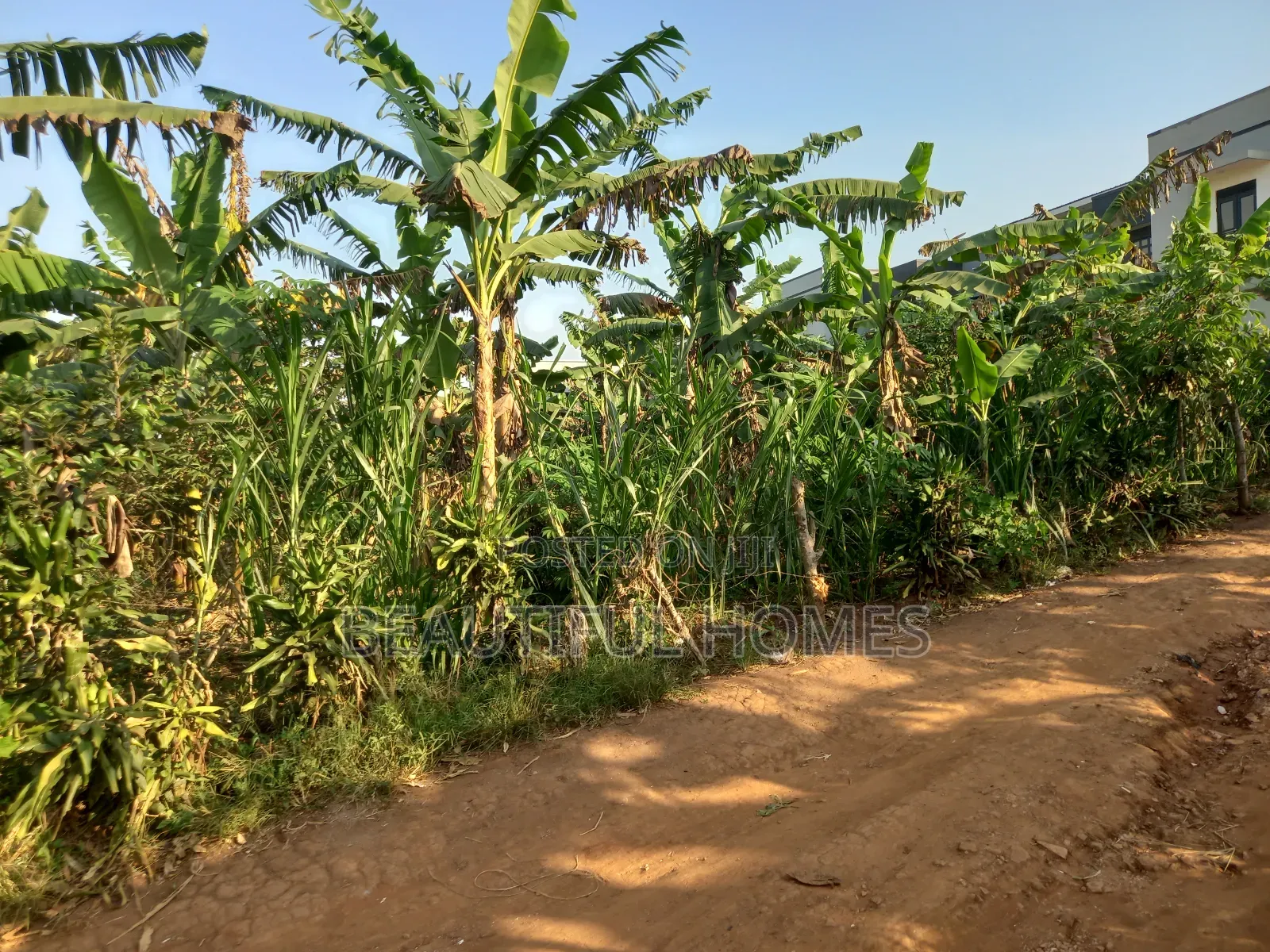 Kira Half an Acre Close to Main Road in Kira