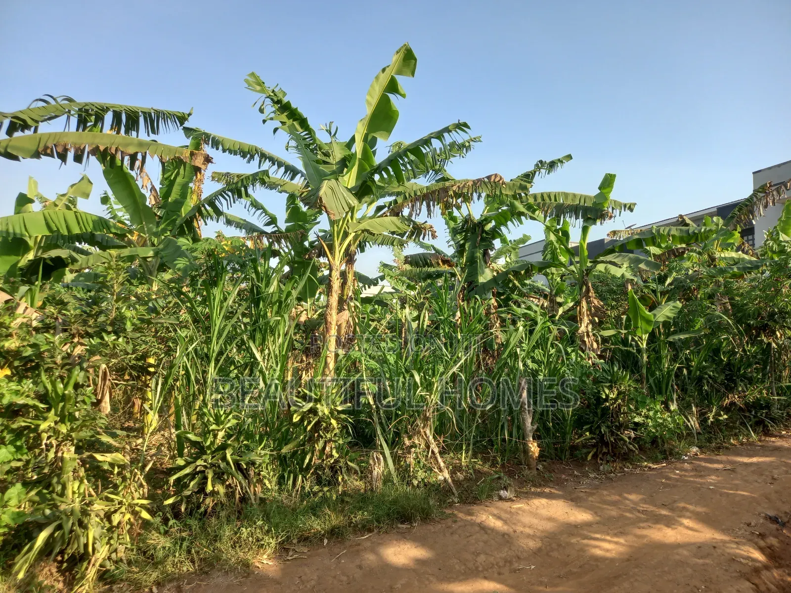 Kira Half an Acre Close to Main Road in Kira