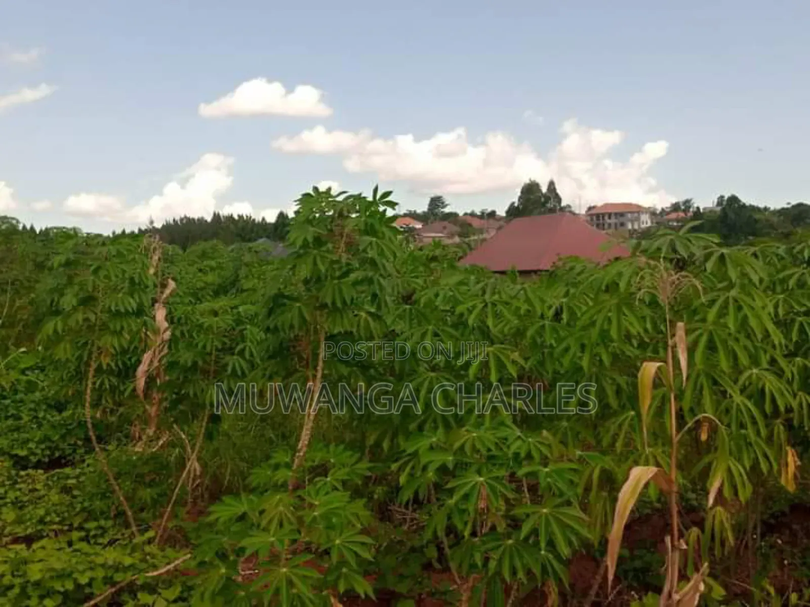 Plot for Sale in Kiwenda in Division A
