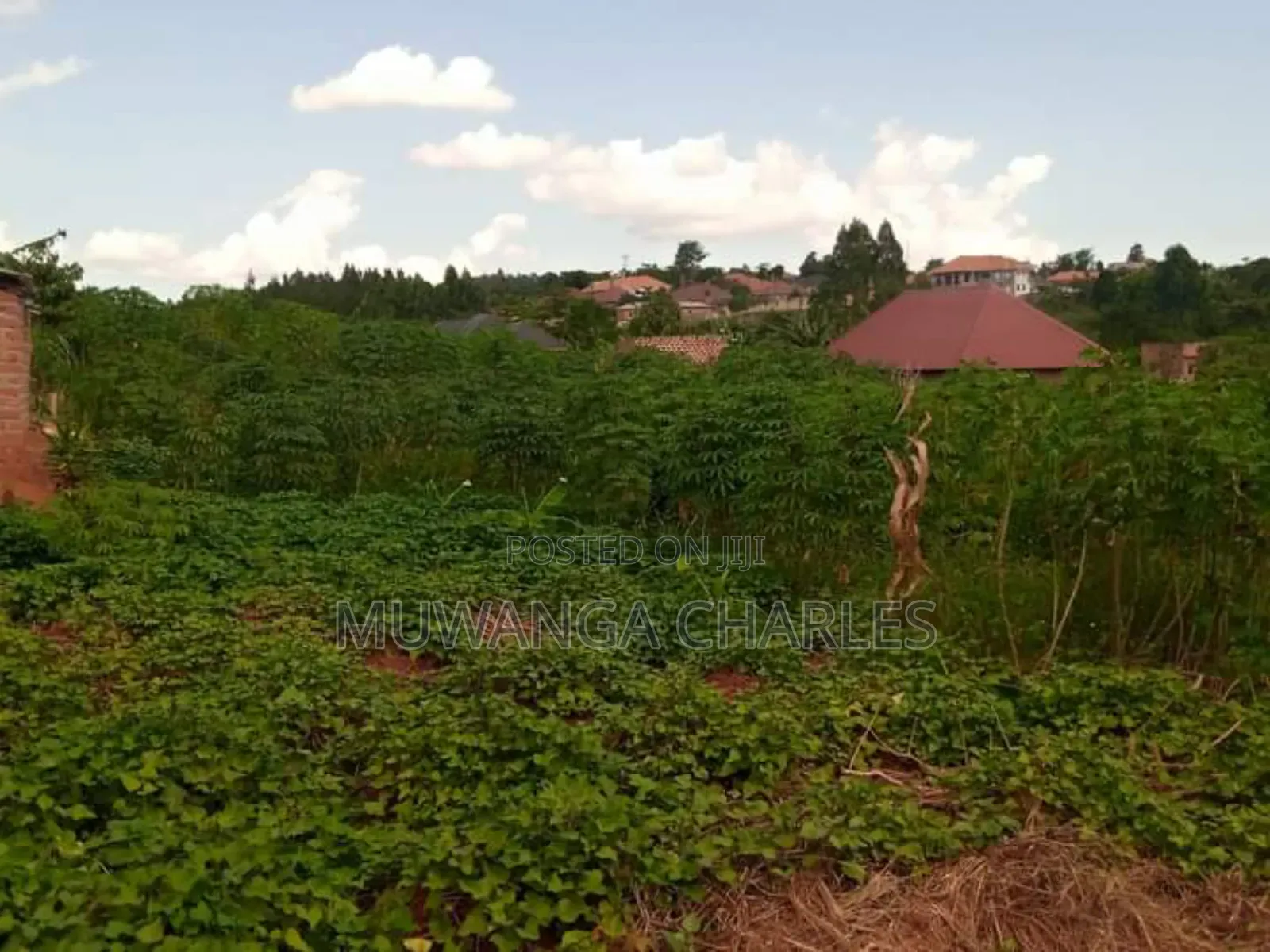 Plot for Sale in Kiwenda in Division A