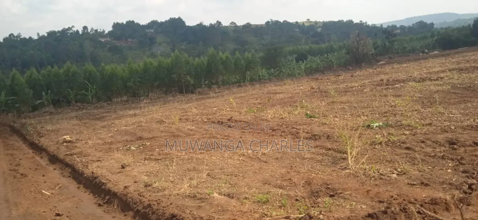 Plot for Sale in Kiwenda in Division A
