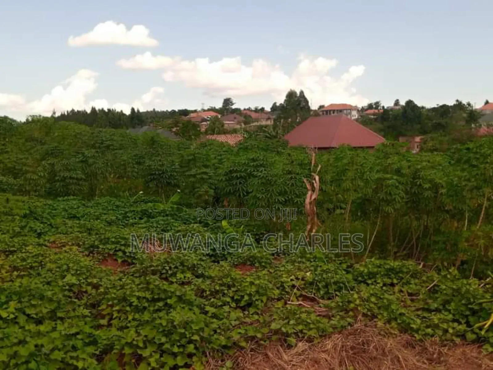 Plot for Sale in Kiwenda in Division A