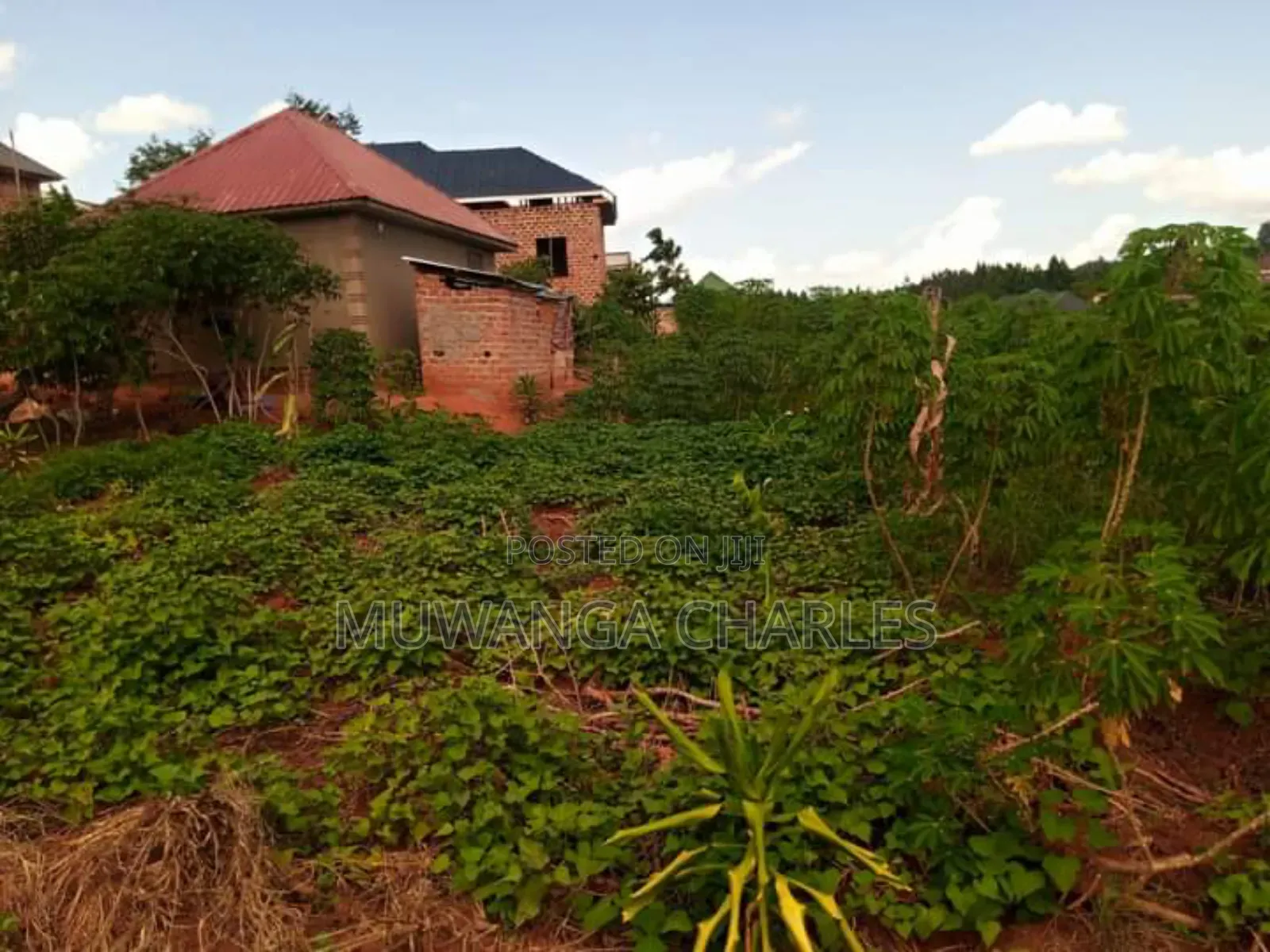 Plot for Sale in Kiwenda in Division A