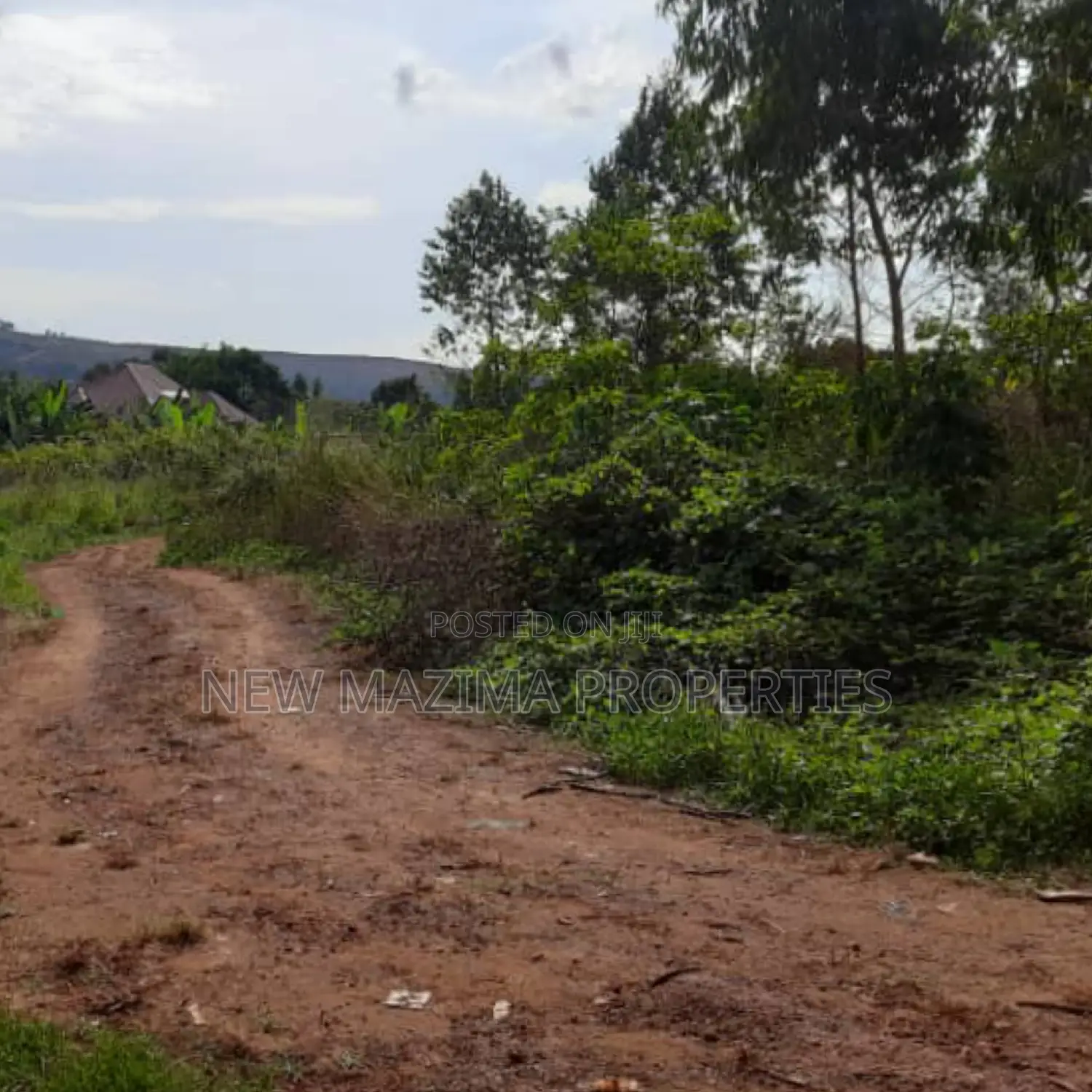 Two Acres Onquicksale in Mpigi Kabasanda With Readycut Title in Division A