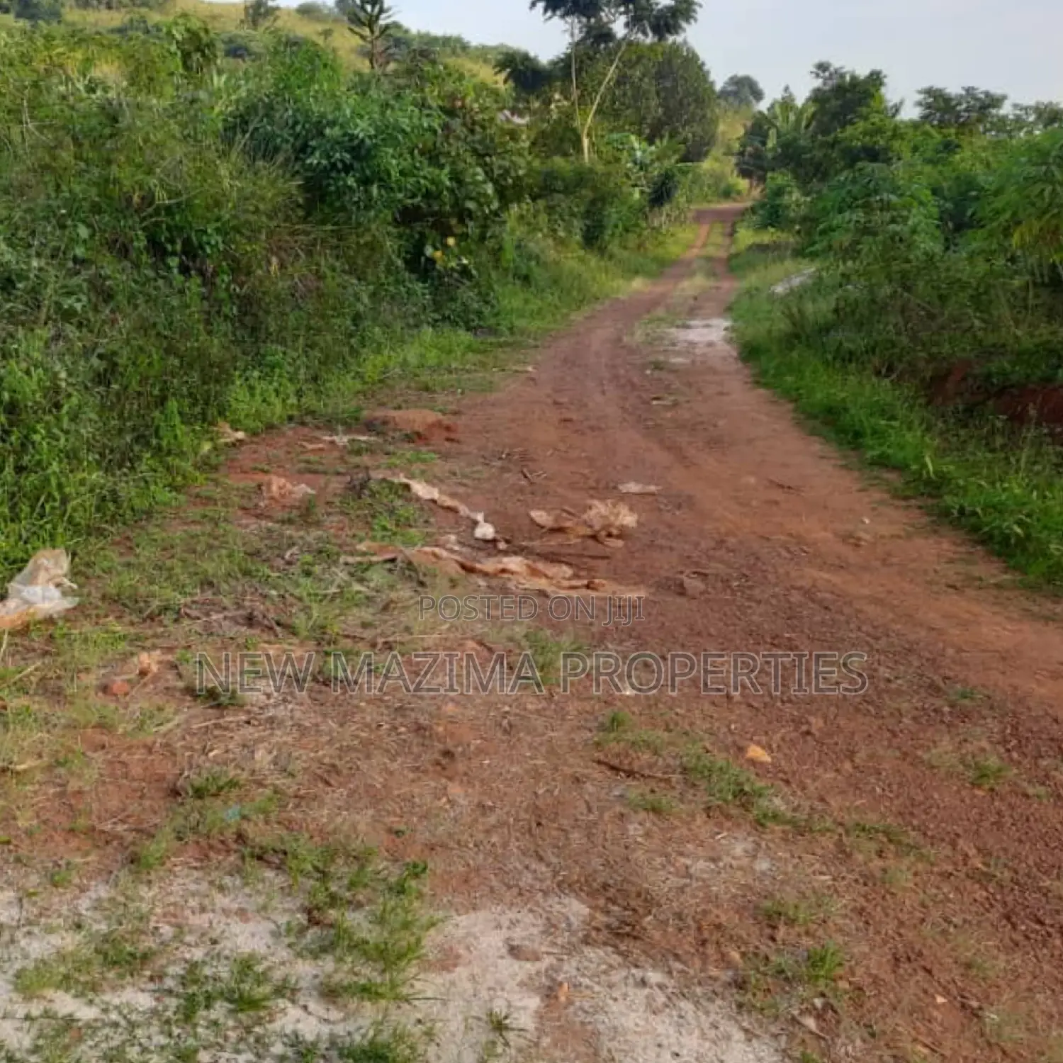Two Acres Onquicksale in Mpigi Kabasanda With Readycut Title in Division A