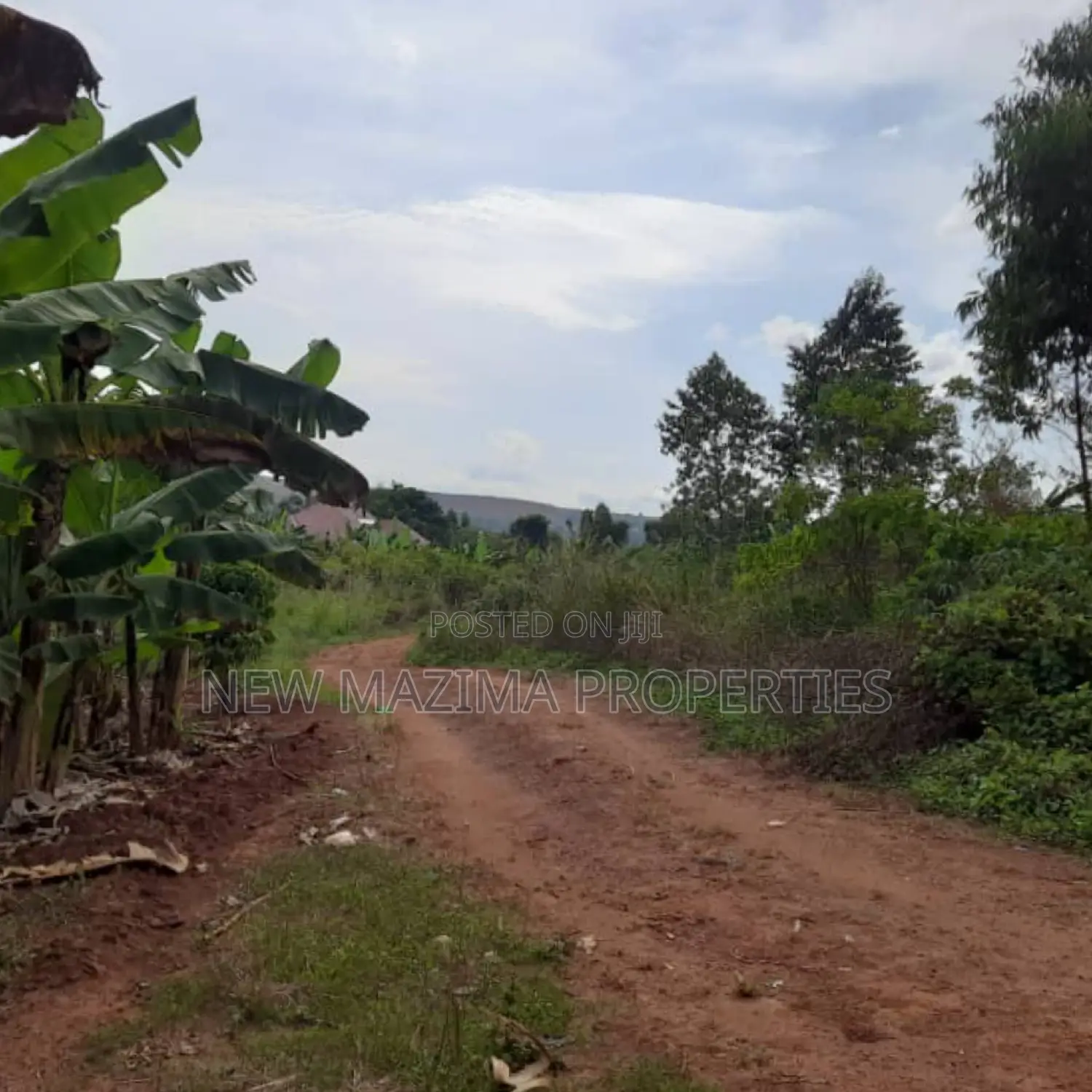 Two Acres Onquicksale in Mpigi Kabasanda With Readycut Title in Division A
