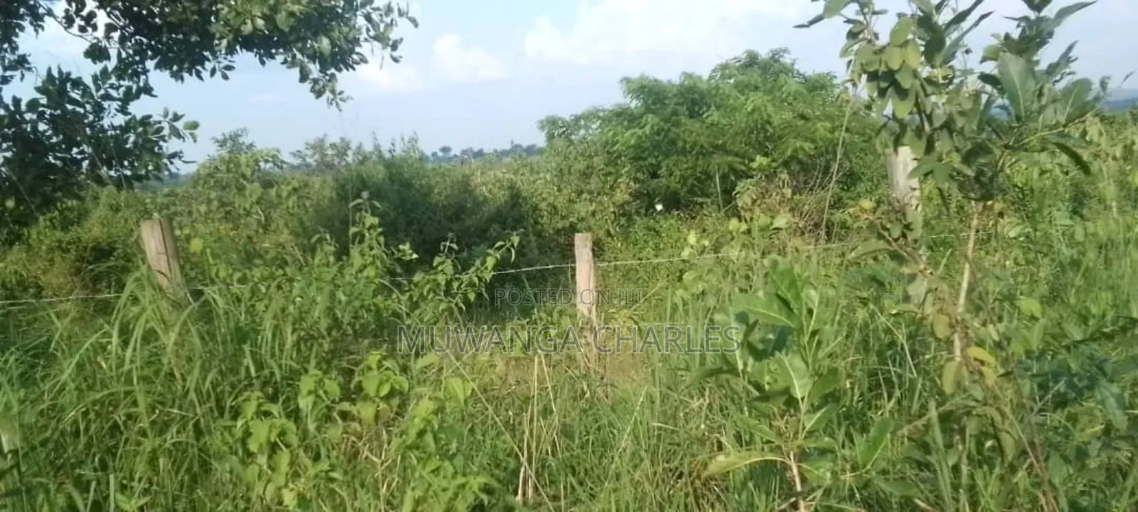 Land for Sale in Kikyusa in Luwero / Luwero