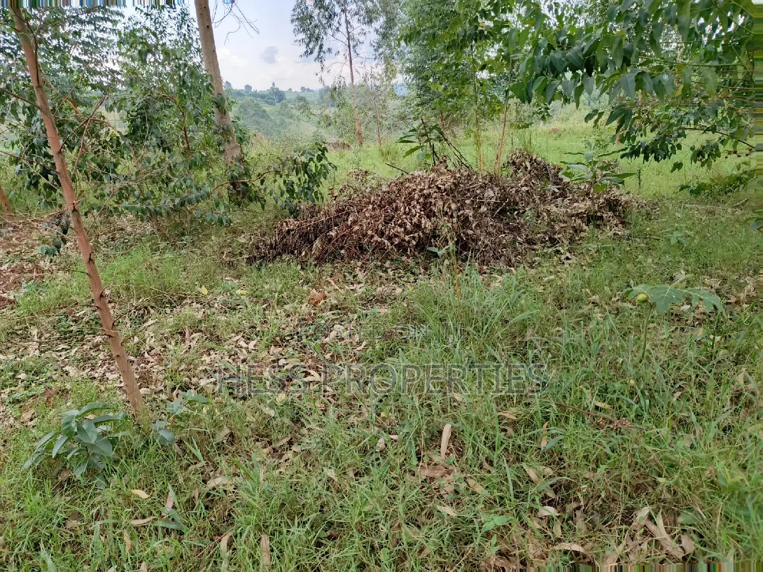 6acres of Land on Sale Located in Rugombe Town Council in Kyenjojo