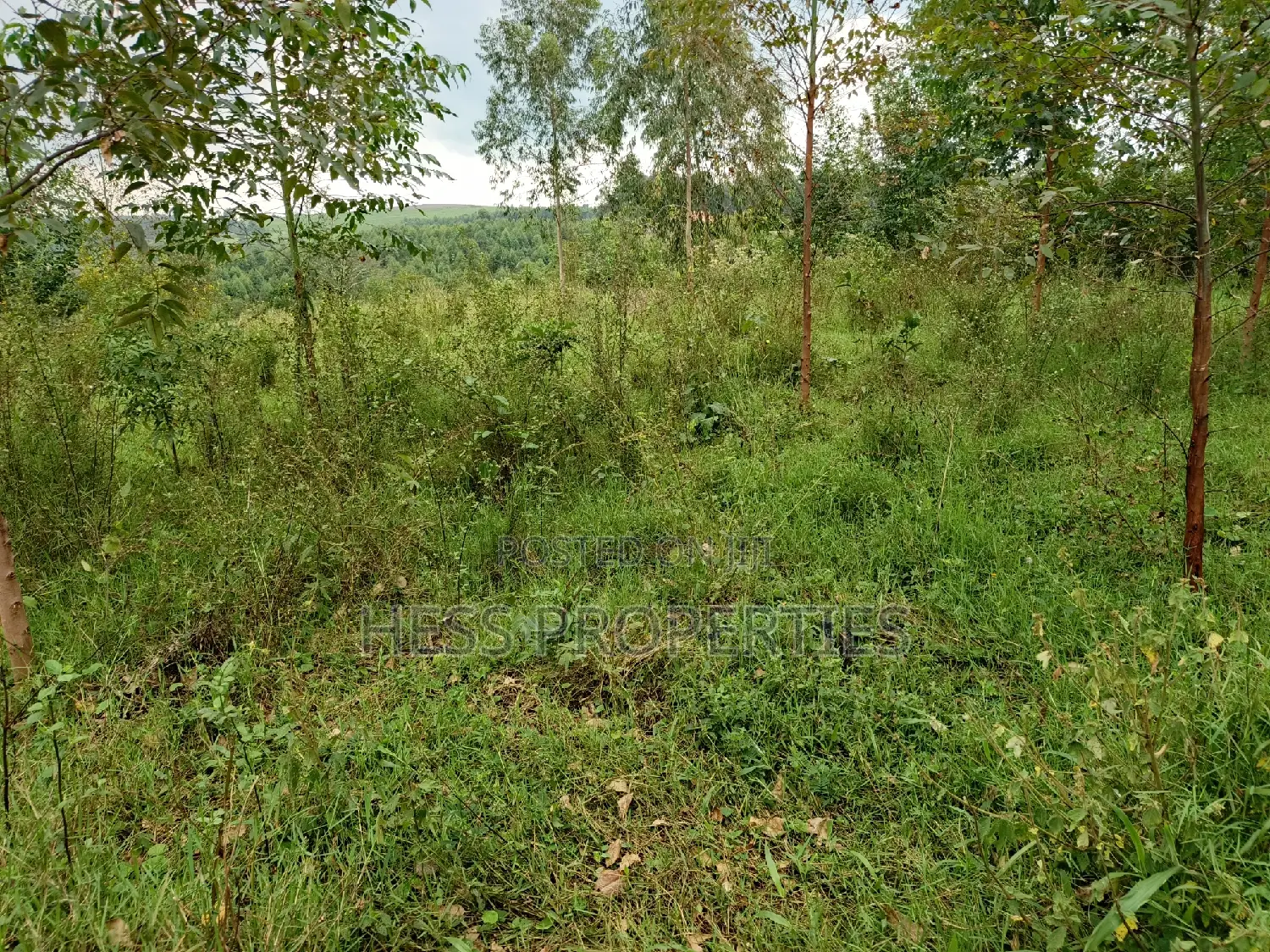 6acres of Land on Sale Located in Rugombe Town Council in Kyenjojo