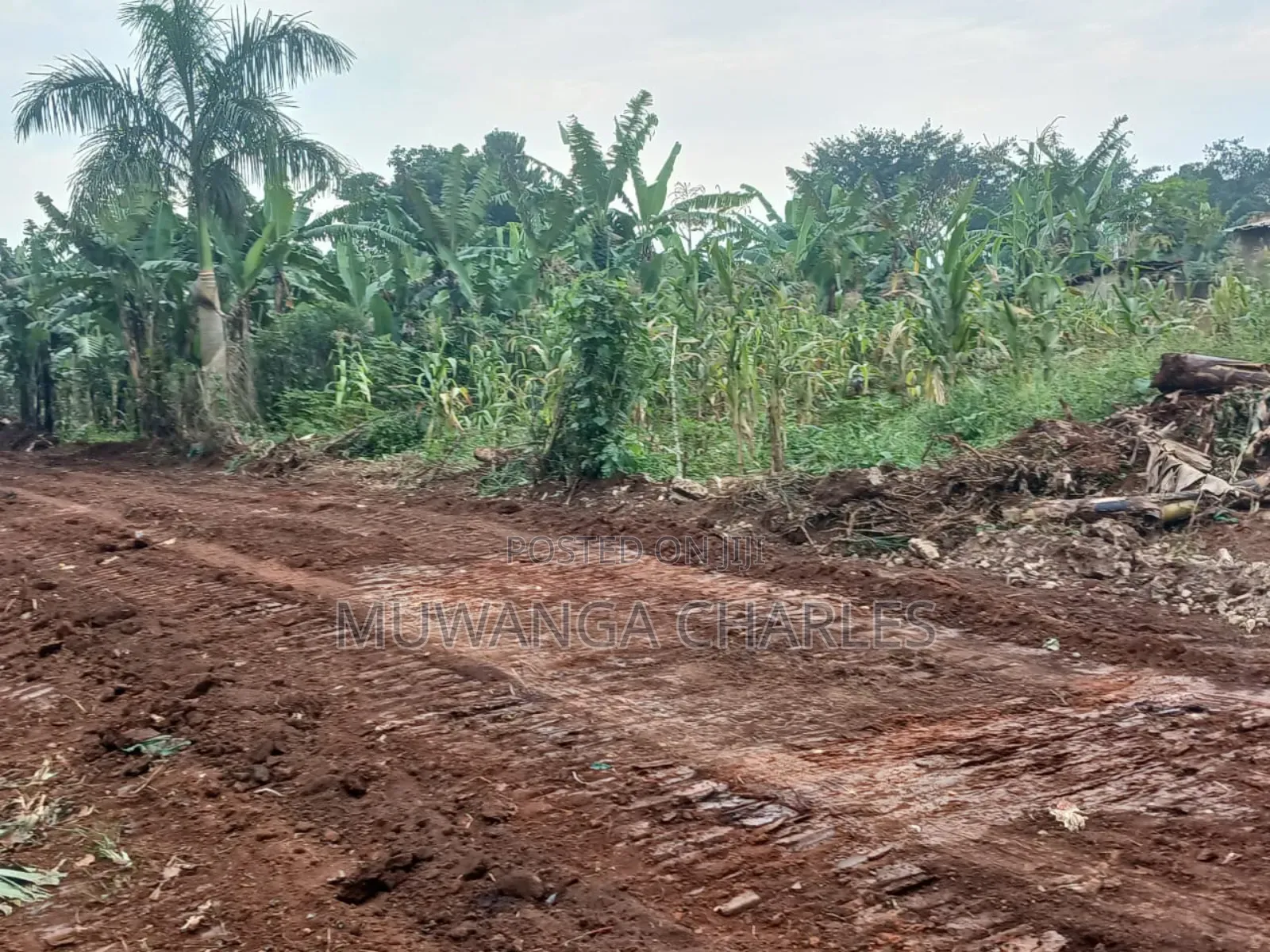 Plot for Sale in Nakwero in Central Division