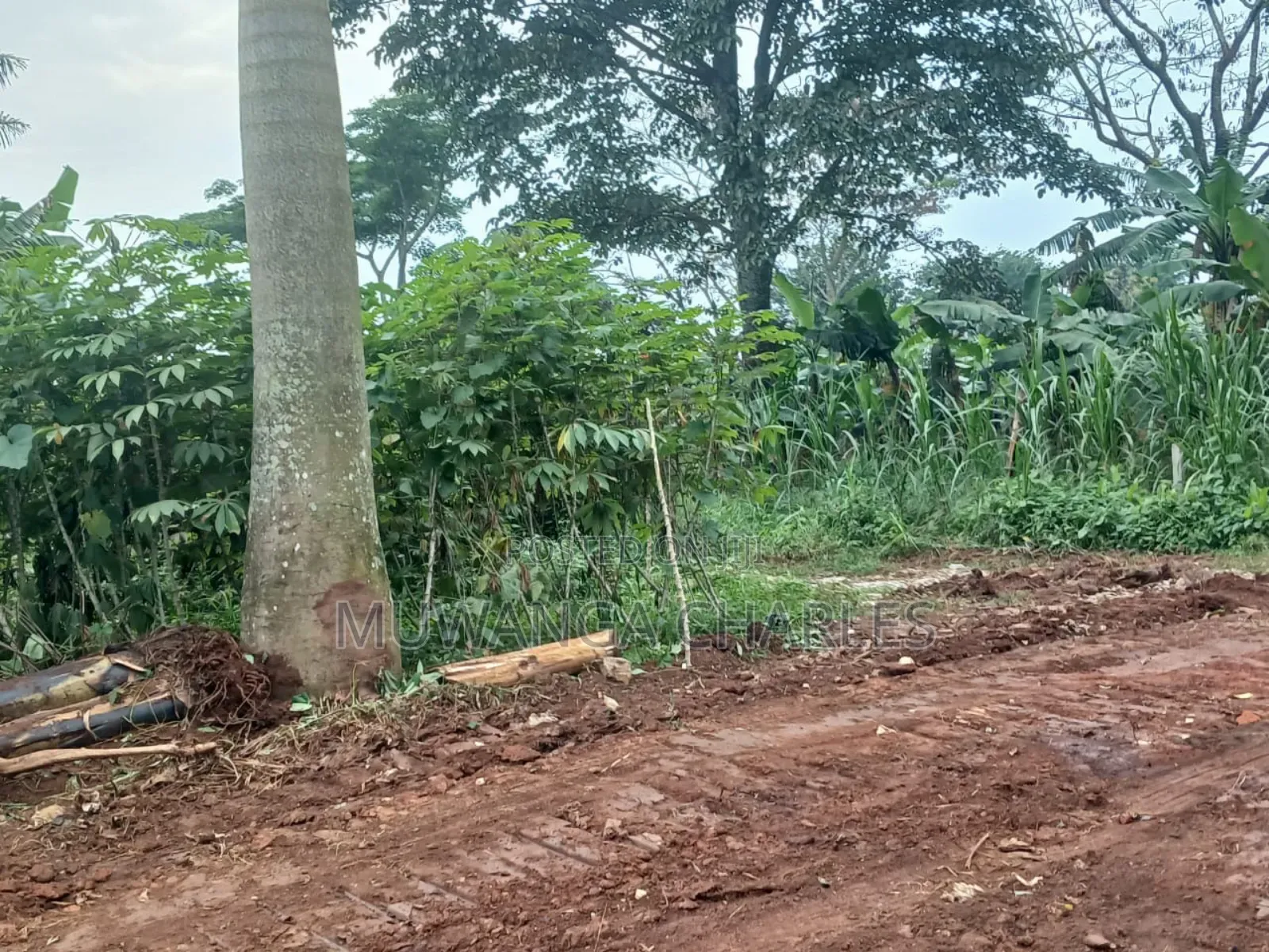 Plot for Sale in Nakwero in Central Division