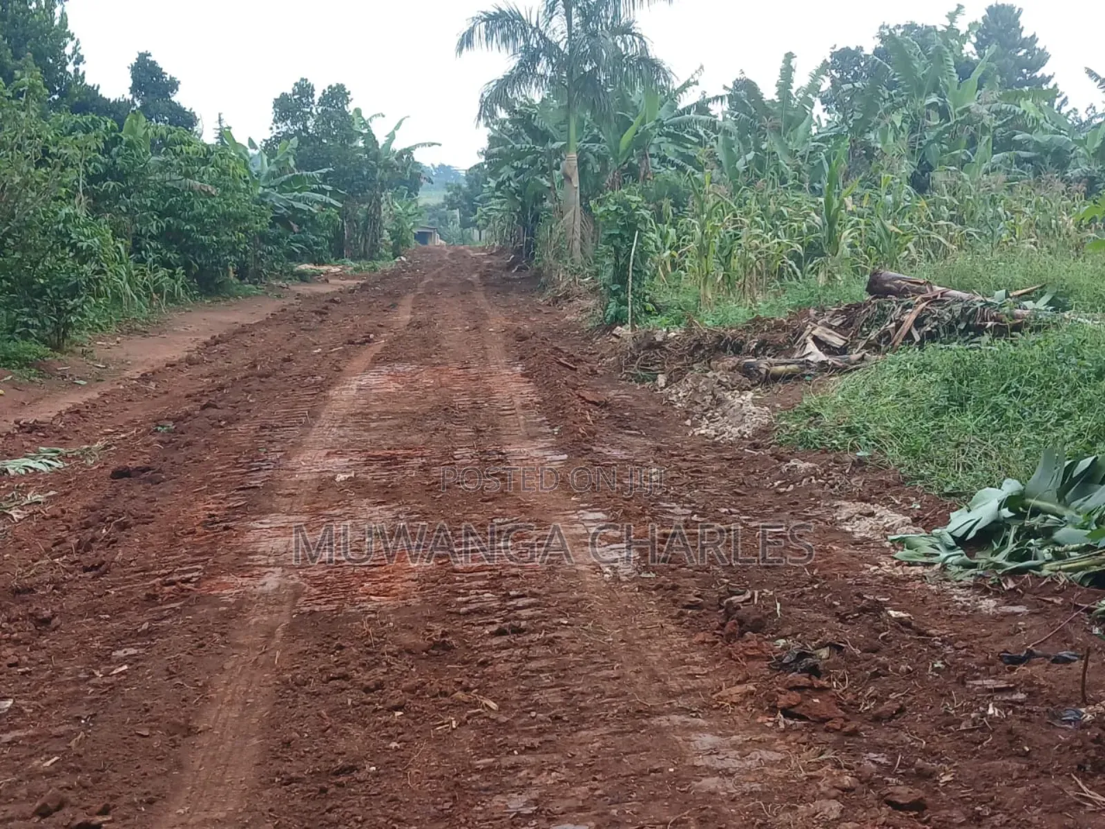 Plot for Sale in Nakwero in Central Division