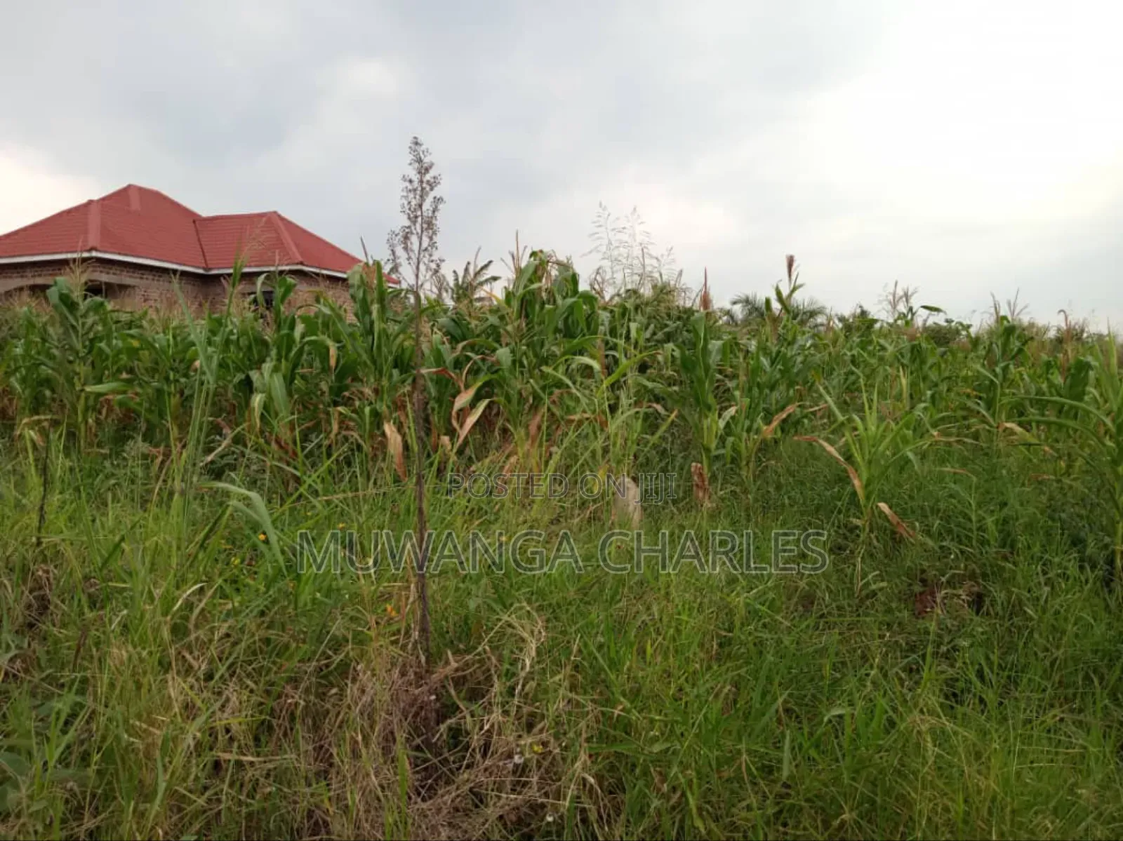 Plot's for Sale in Kitukutwe in Kira