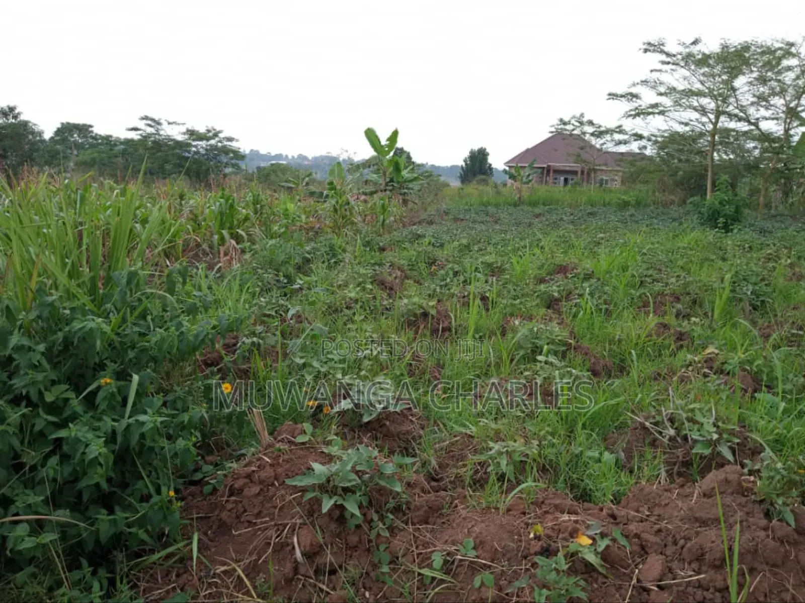 Plot's for Sale in Kitukutwe in Kira