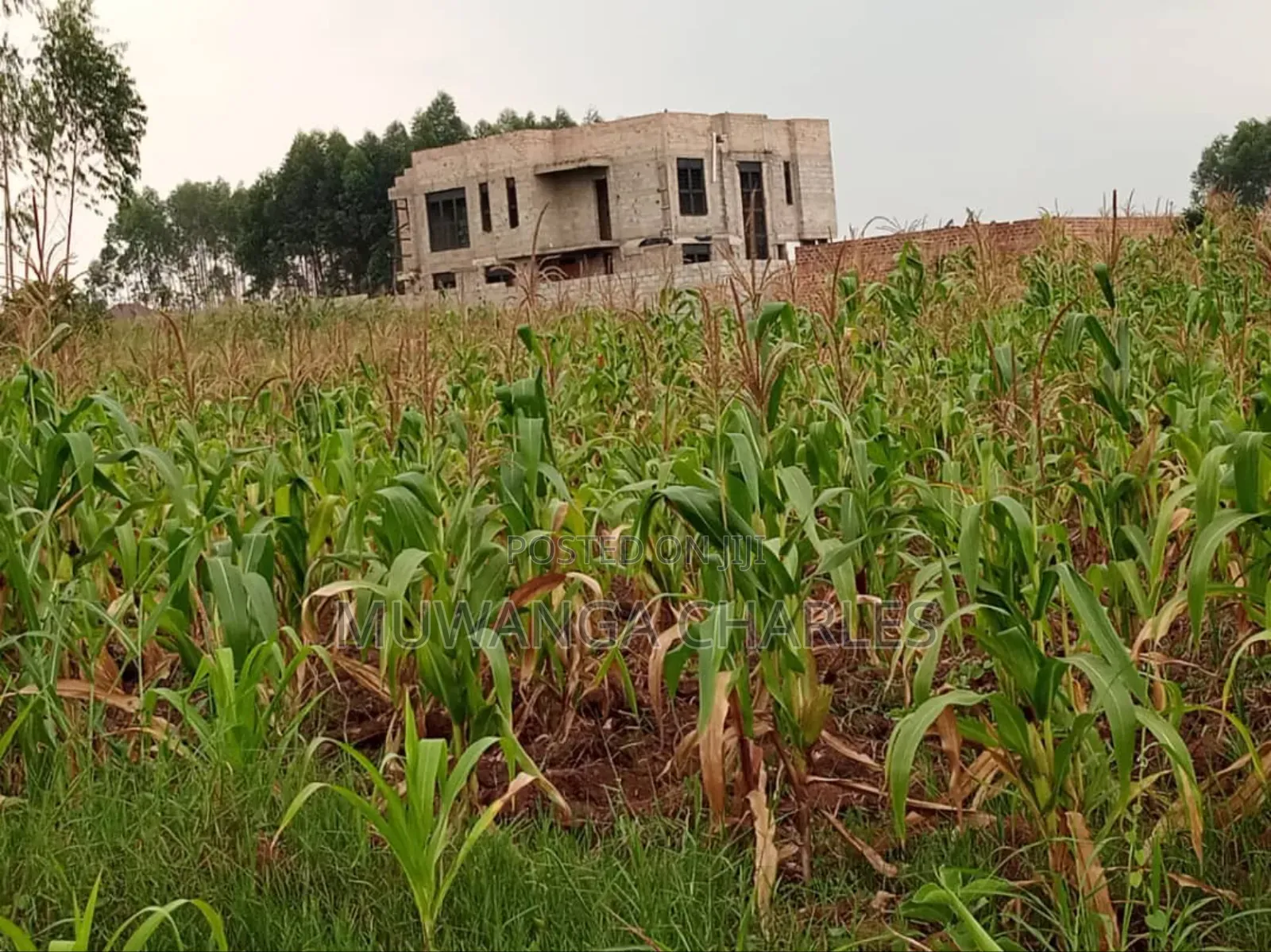 Plot for Sale in Nsasa in Kira