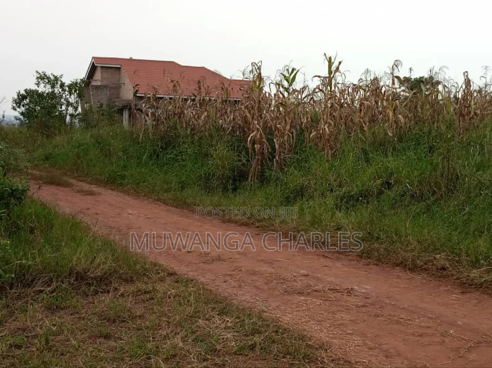 Plot for Sale in Nsasa in Kira