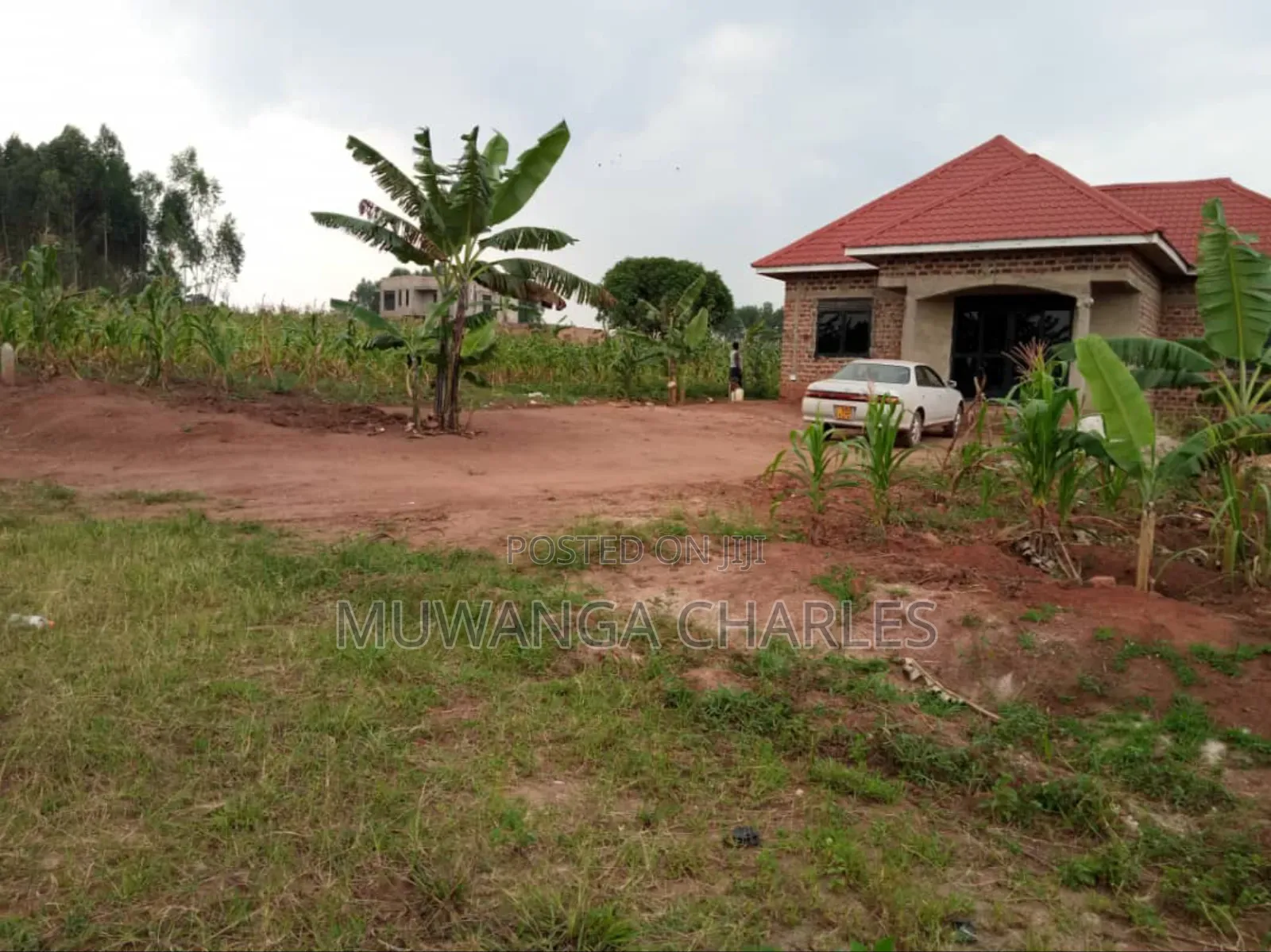 Plot for Sale in Nsasa in Kira