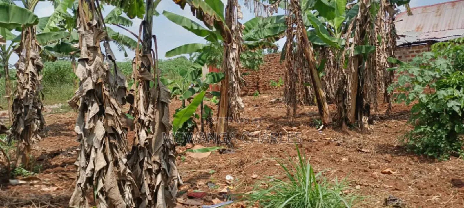 Plot's for Sale in Nakwero in Central Division