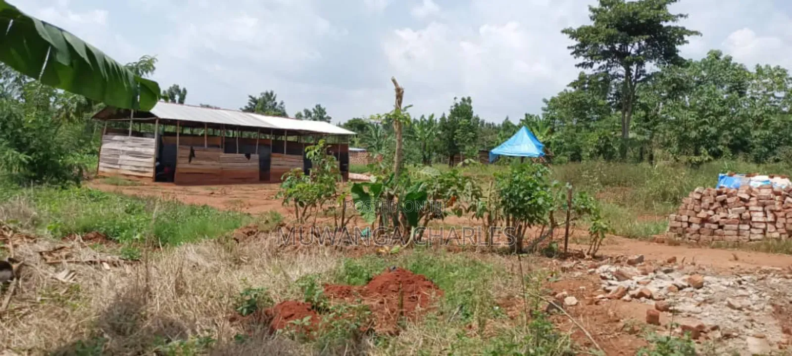 Plot's for Sale in Nakwero in Central Division