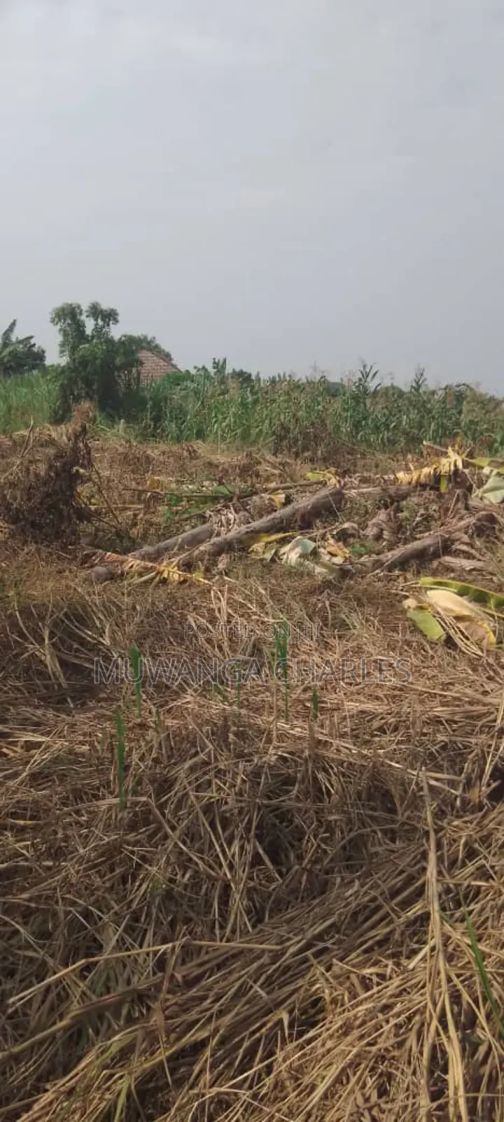 Plot's for Sale in Busiika in Central Division