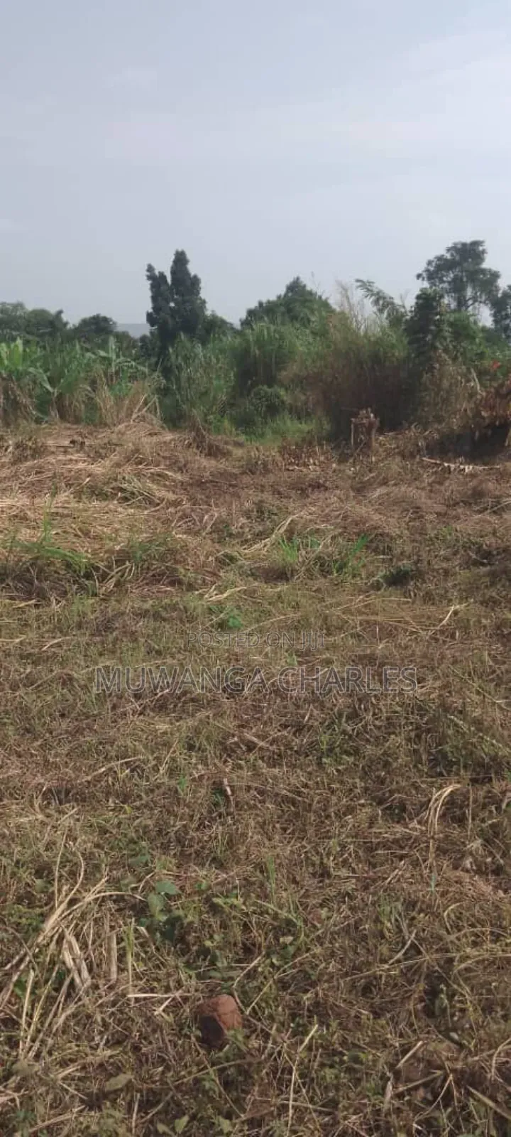 Plot's for Sale in Busiika in Central Division