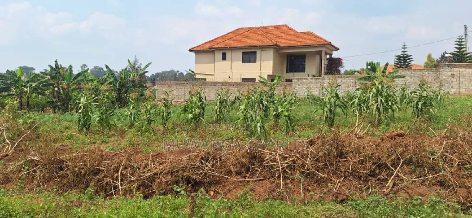 100by100ft Plot for Sale in Bulindo in Central Division