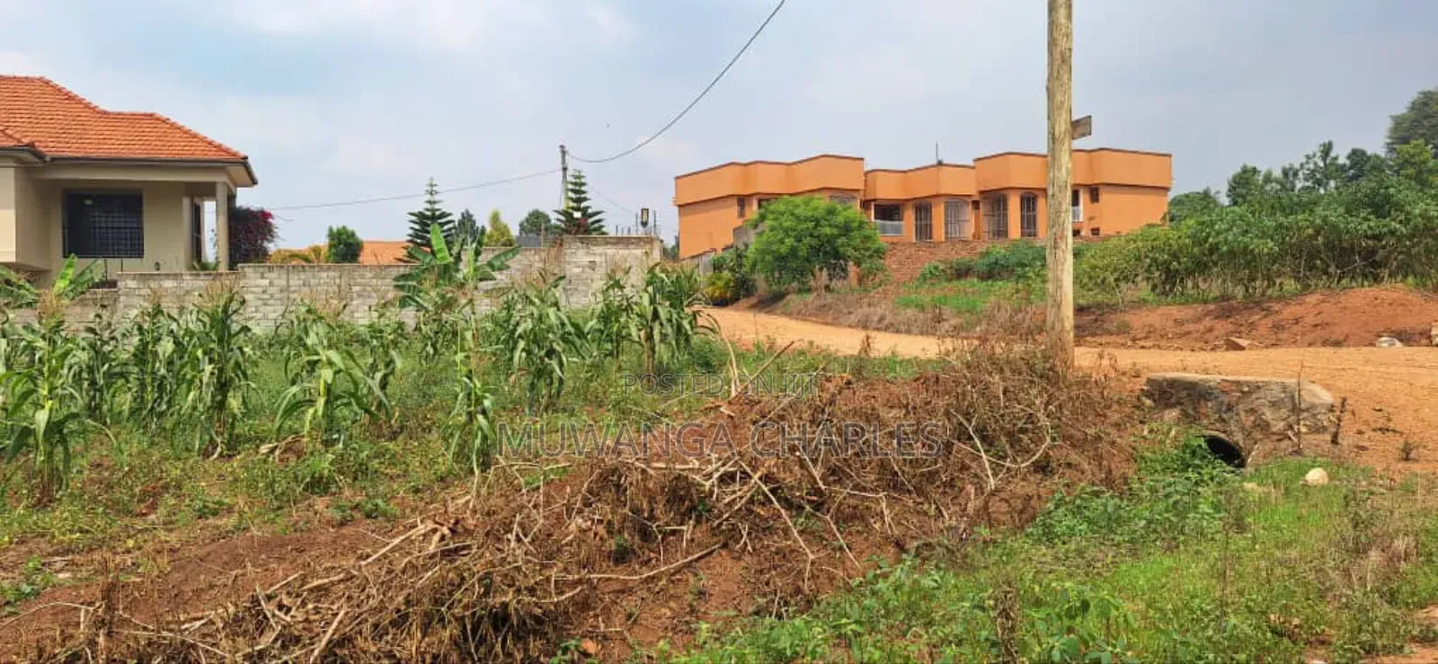 100by100ft Plot for Sale in Bulindo in Central Division