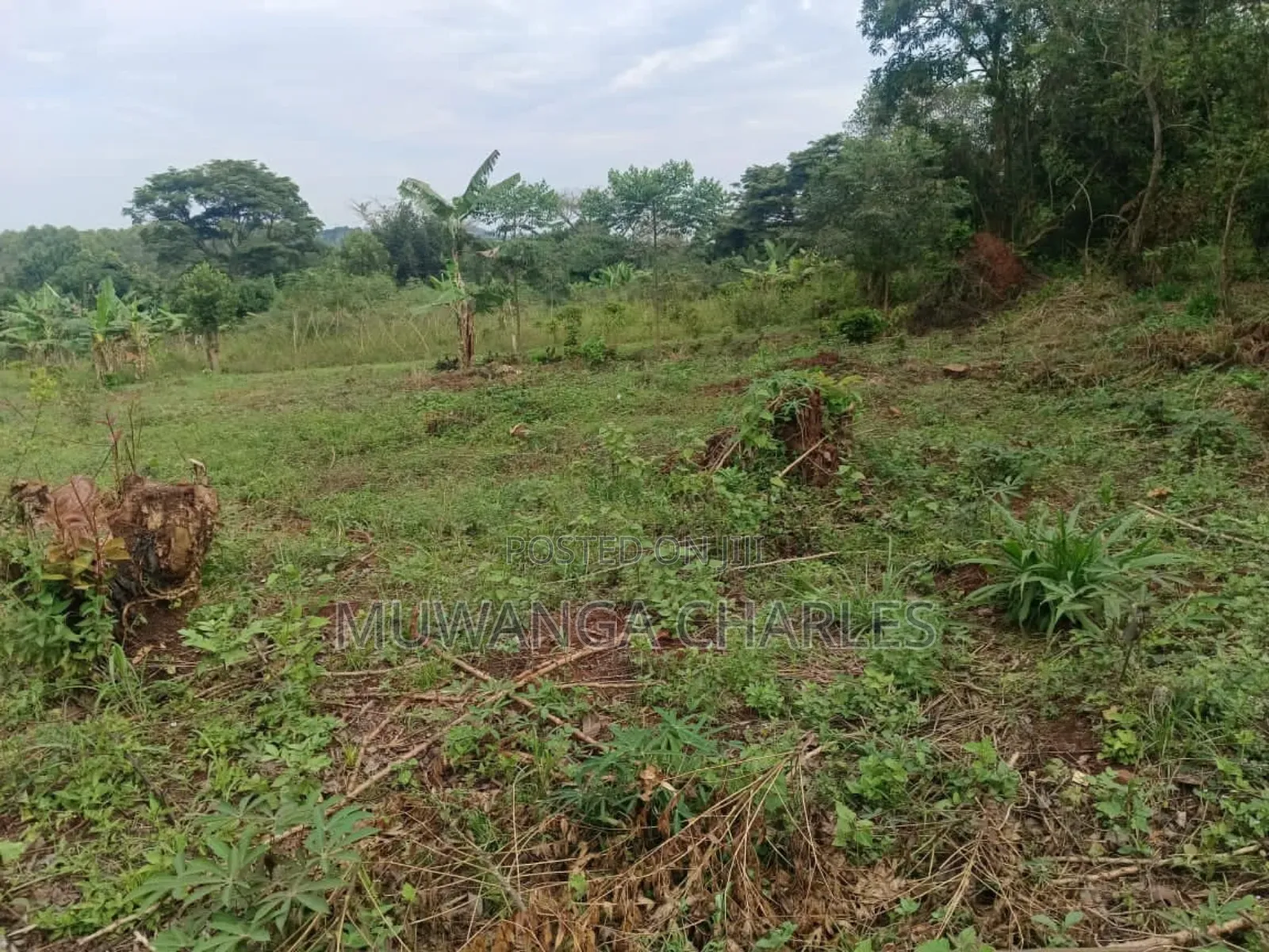 Plot's for Sale in Nangambo in Central Division