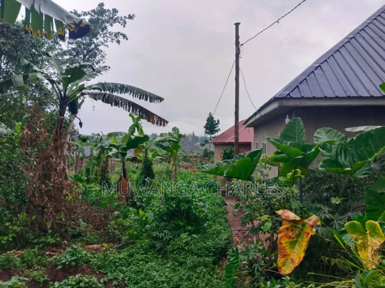 Plot's for Sale in Nangambo in Central Division