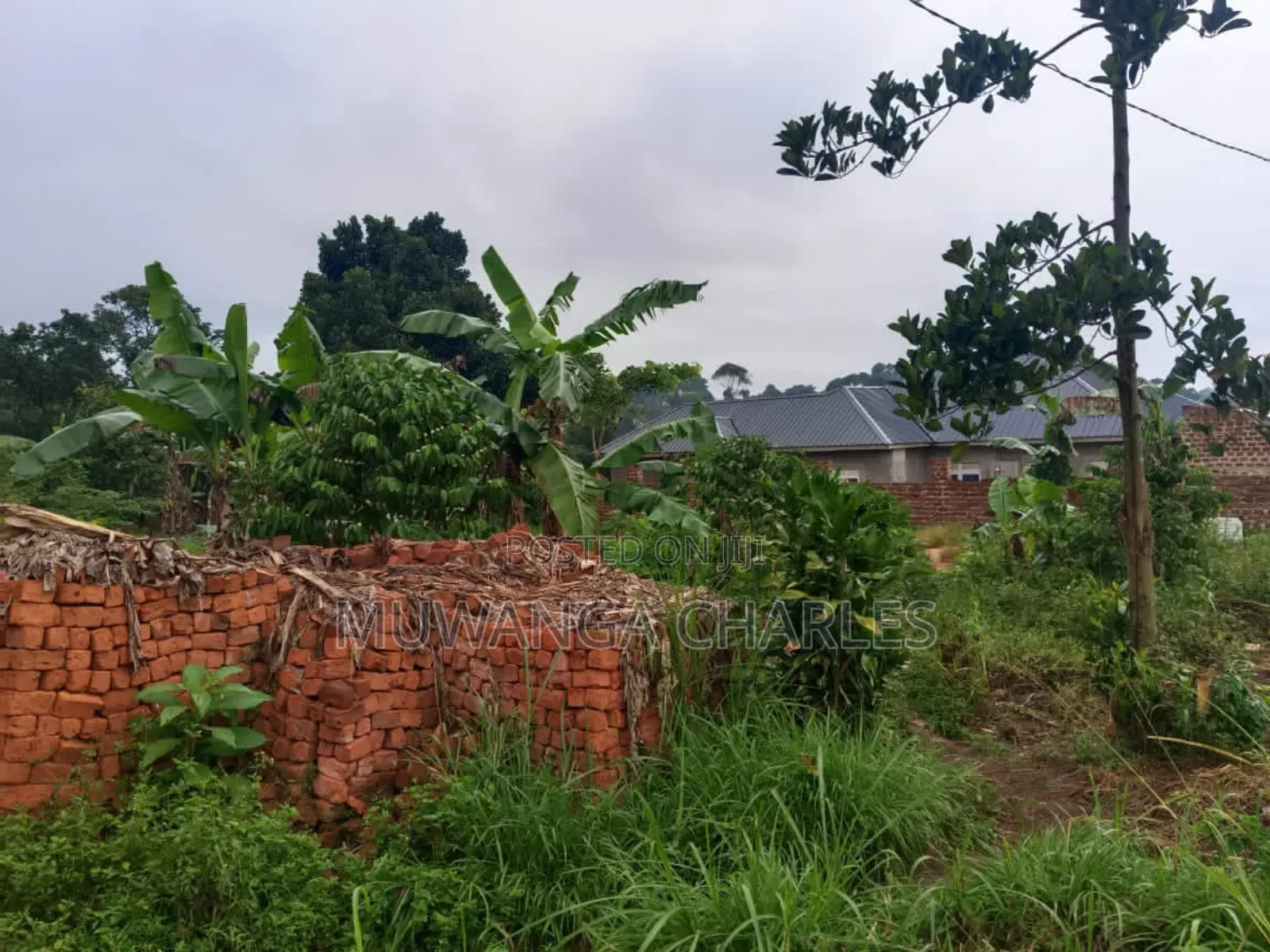 Plot's for Sale in Nangambo in Central Division