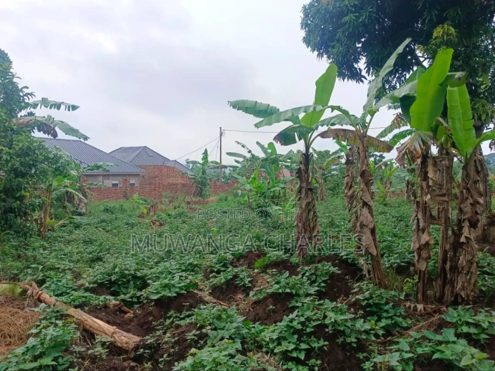 Plot's for Sale in Nangambo in Central Division
