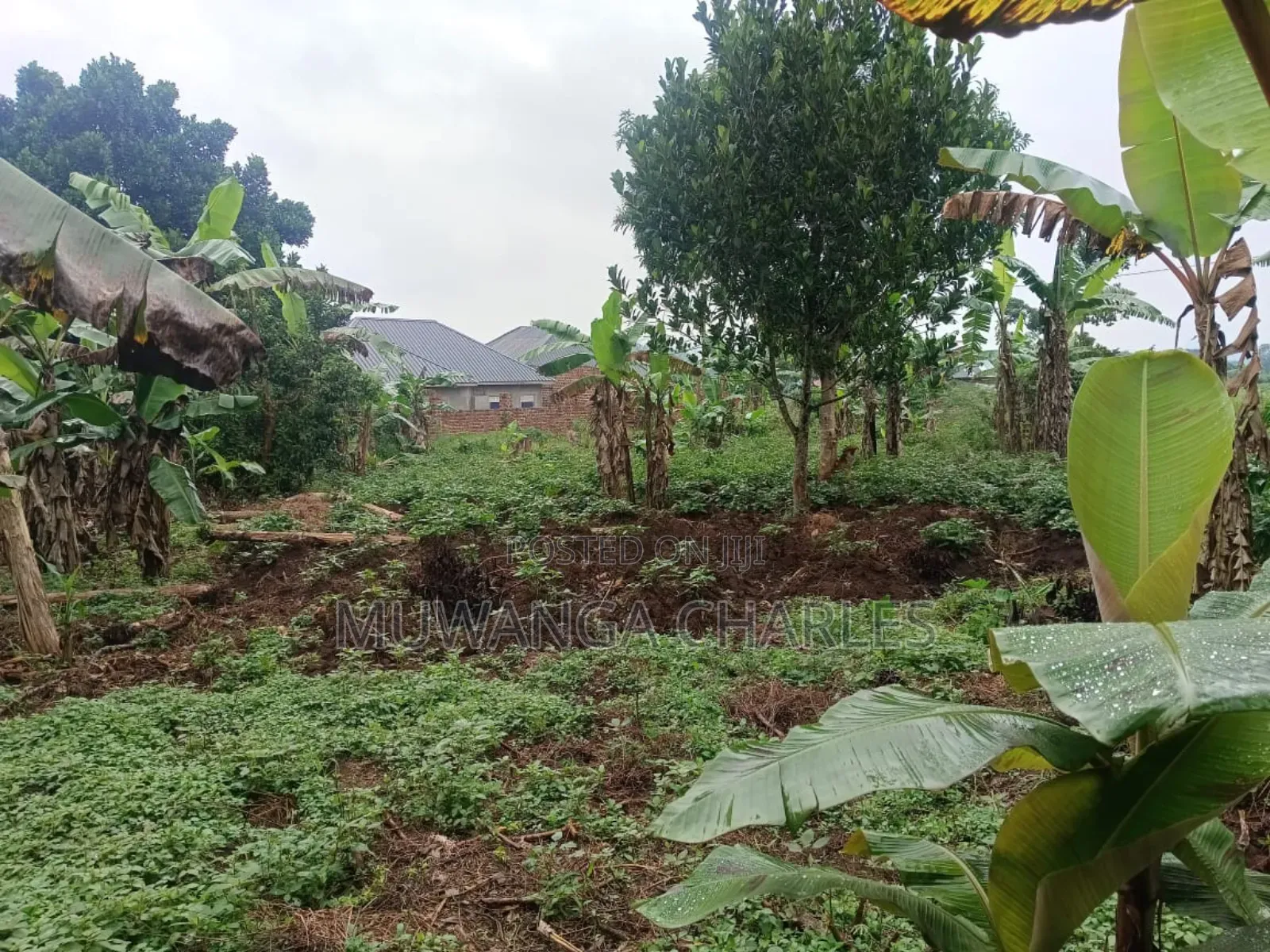 Plot's for Sale in Nangambo in Central Division
