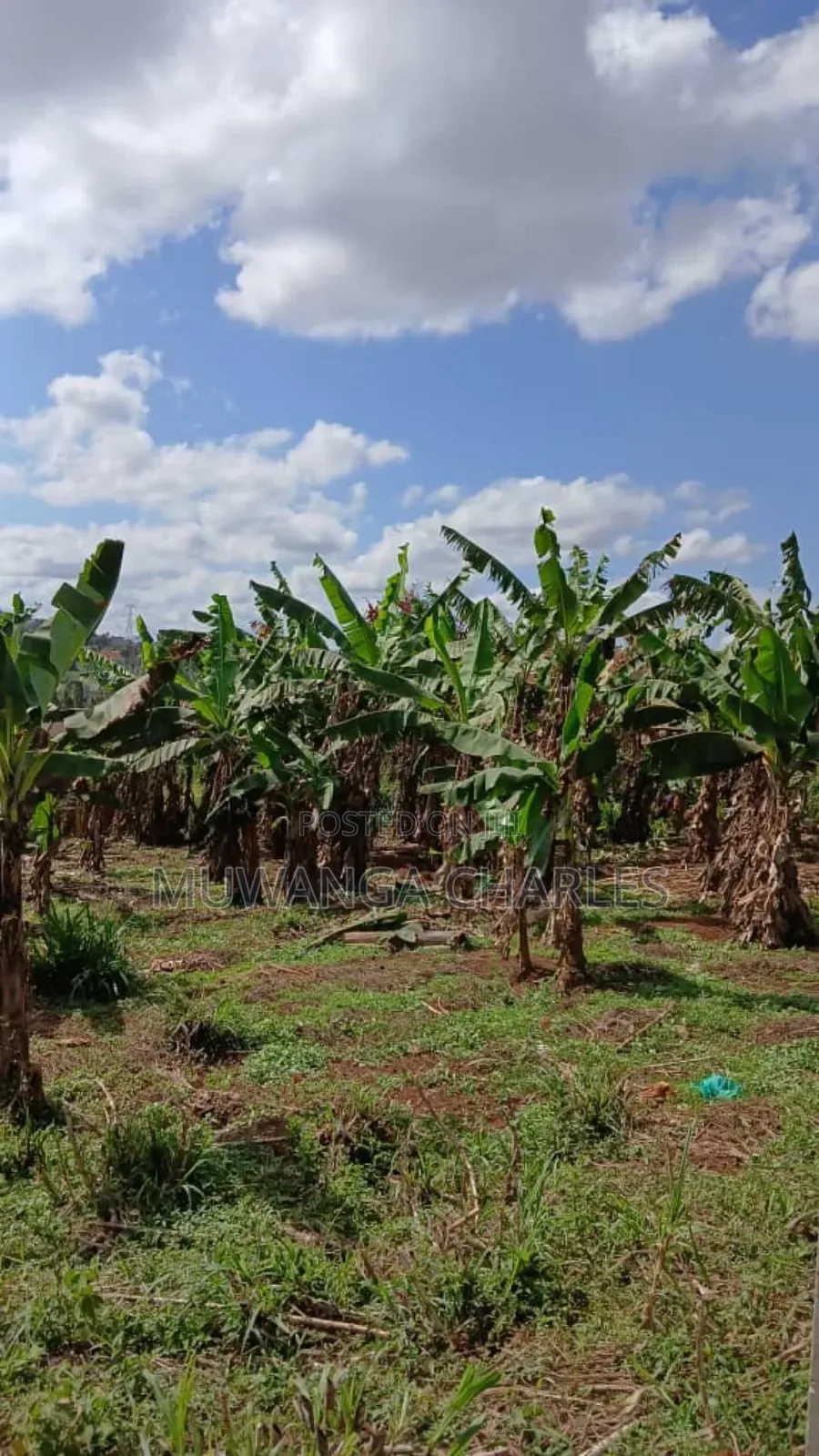 Plot's for Sale in Gayaza in Central Division