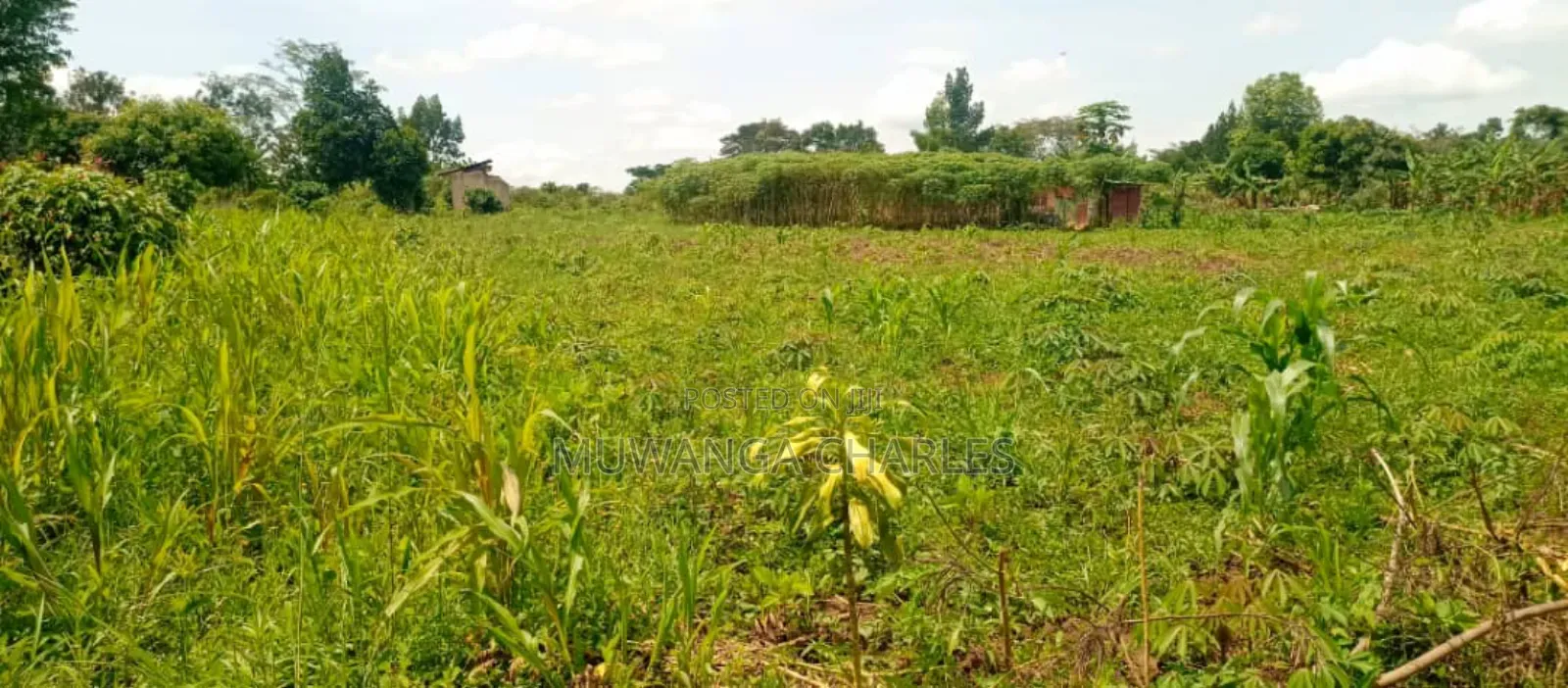 Plot's for Sale in Kiwenda in Central Division