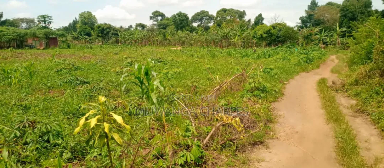 Plot's for Sale in Kiwenda in Central Division