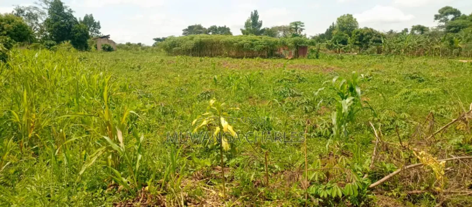 Plot's for Sale in Kiwenda in Central Division