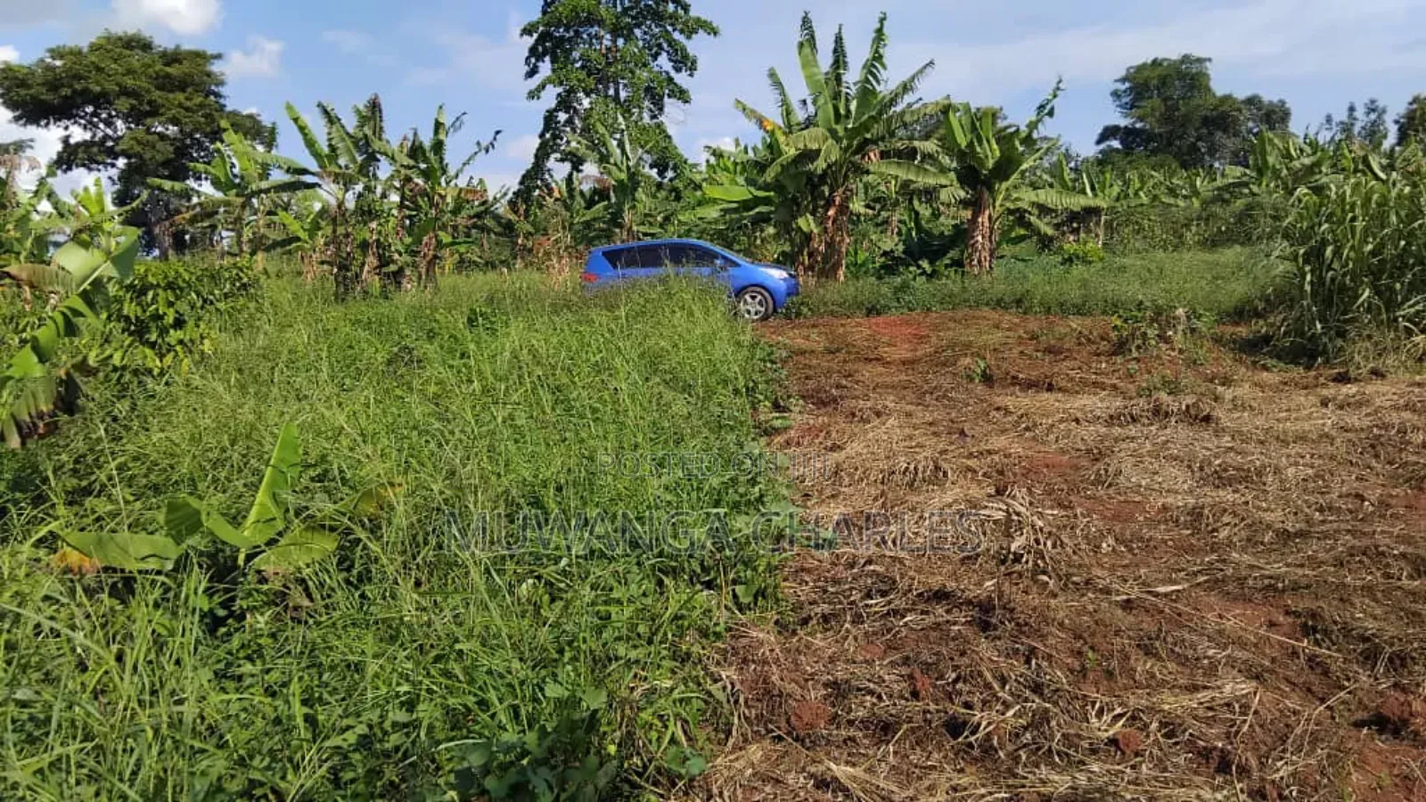Plot's for Sale in Kiwenda in Central Division