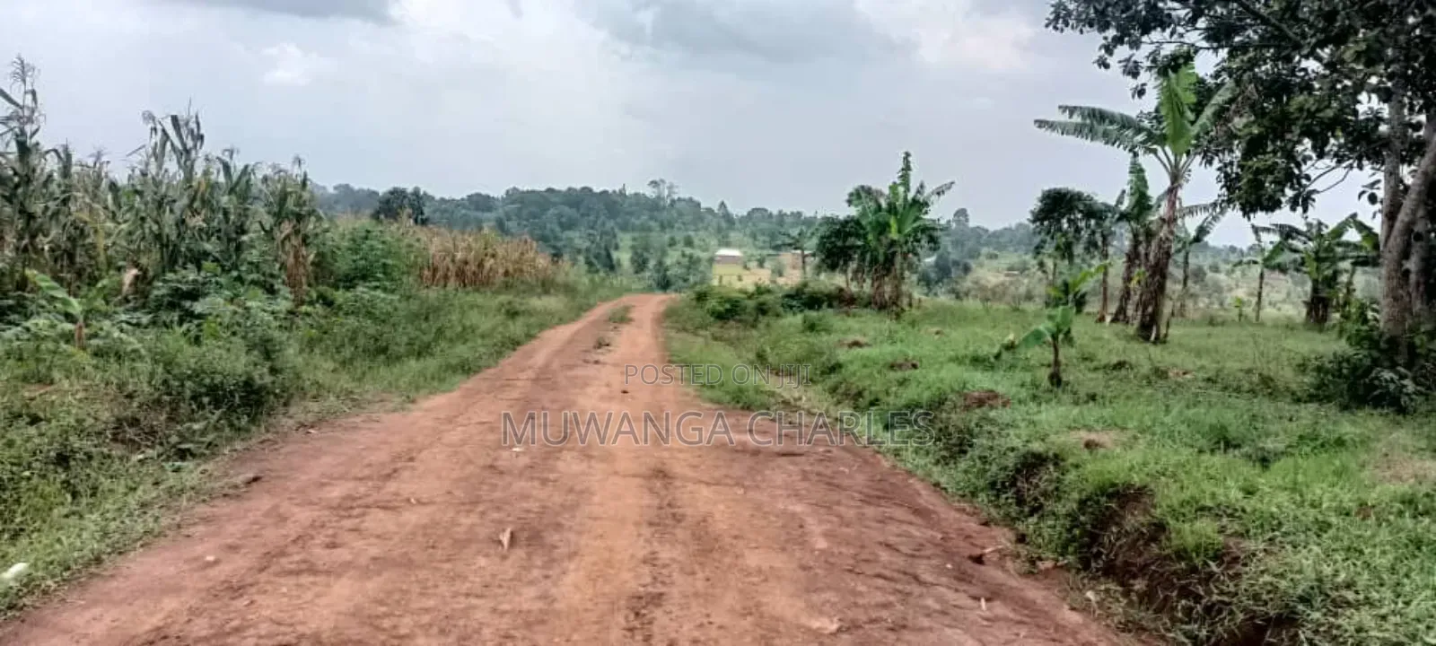 Plot's for Sale in Busukuma in Central Division