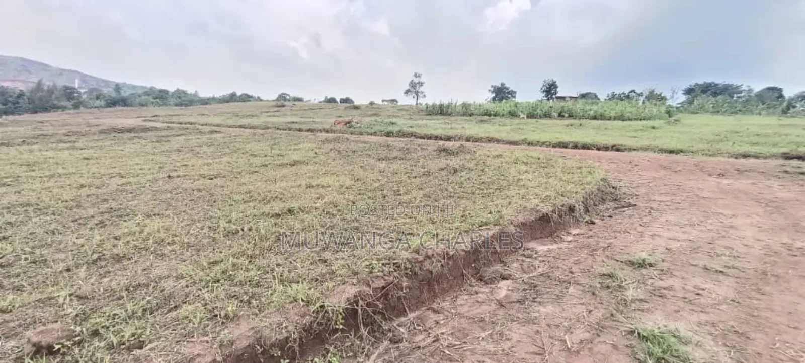 Plot's for Sale in Busukuma in Central Division