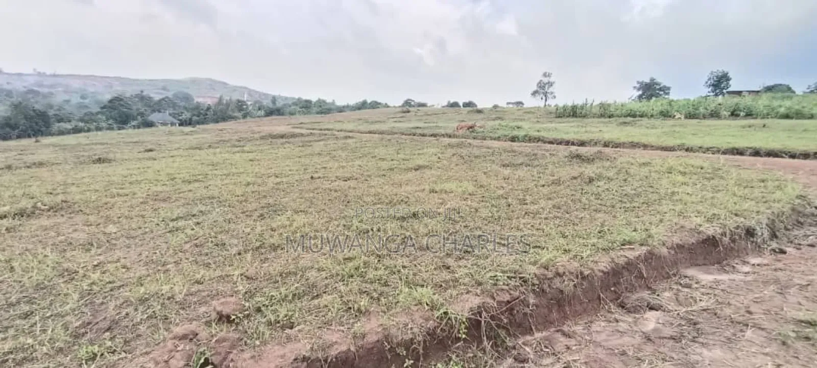 Plot's for Sale in Busukuma in Central Division