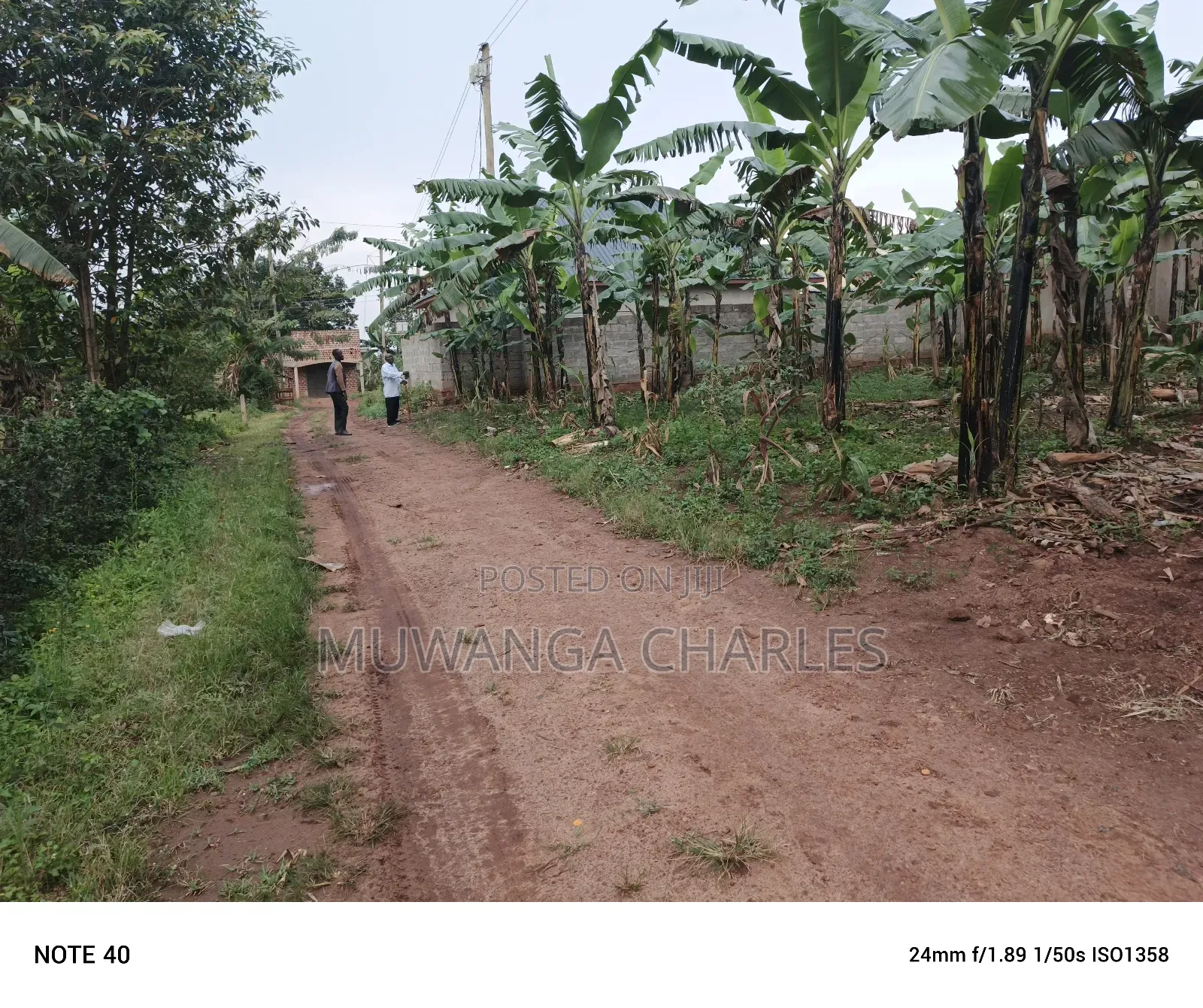 100by50ft Plot for Sale in Nangabo in Nangabo