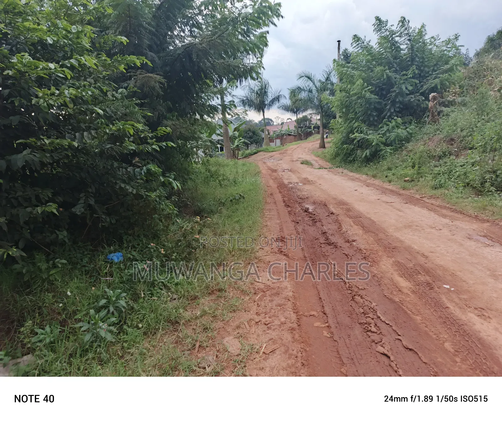 100by100ft Plot for Sale in Nangabo in Nangabo