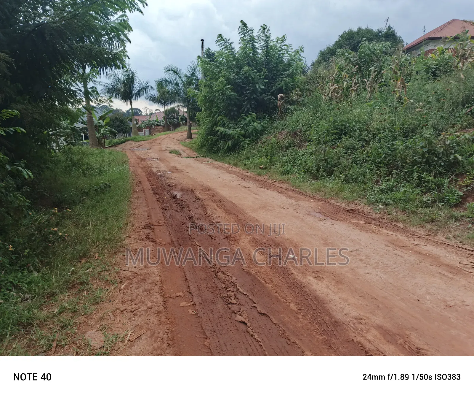 100by100ft Plot for Sale in Nangabo in Nangabo