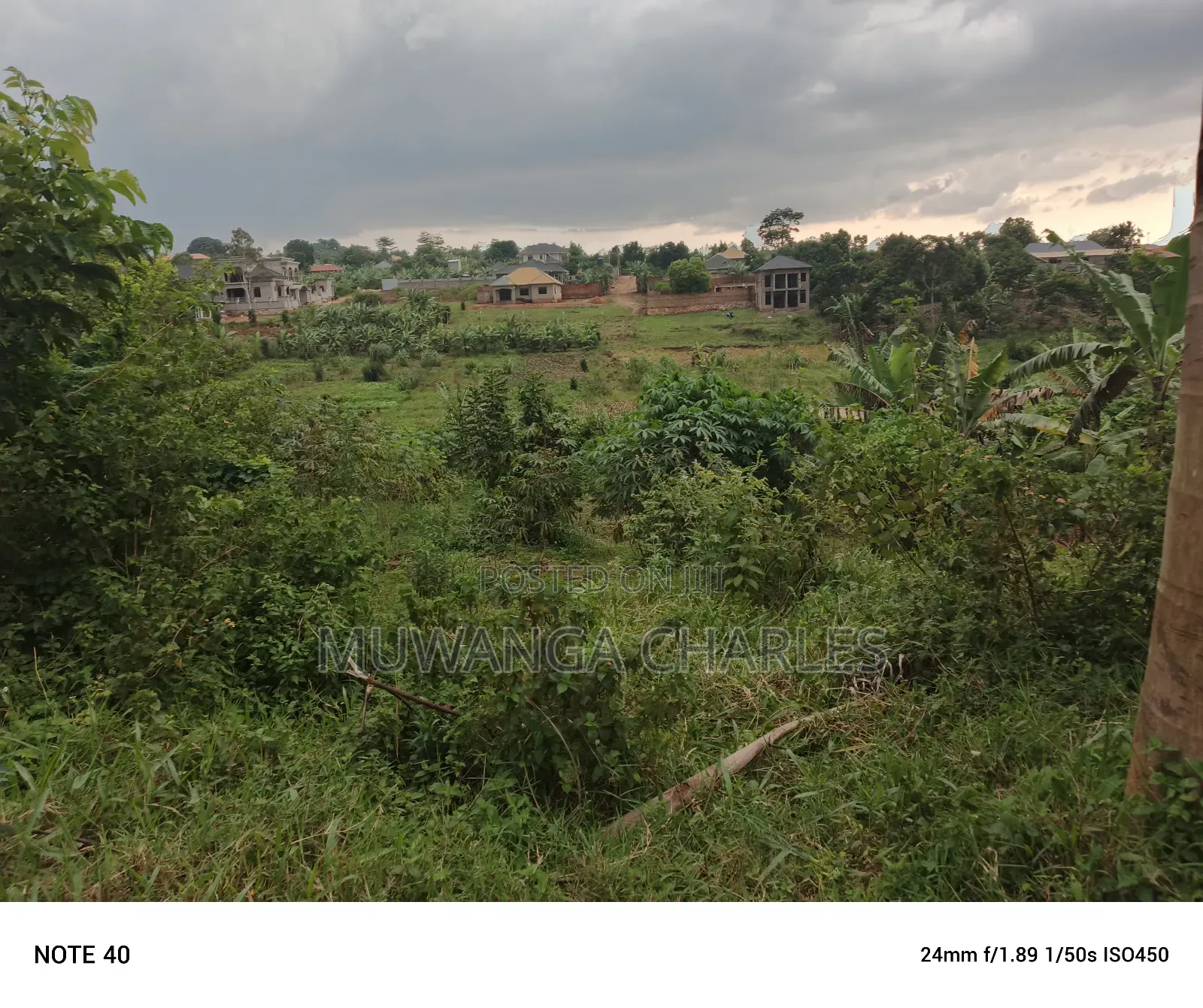 100by100ft Plot for Sale in Nangabo in Nangabo