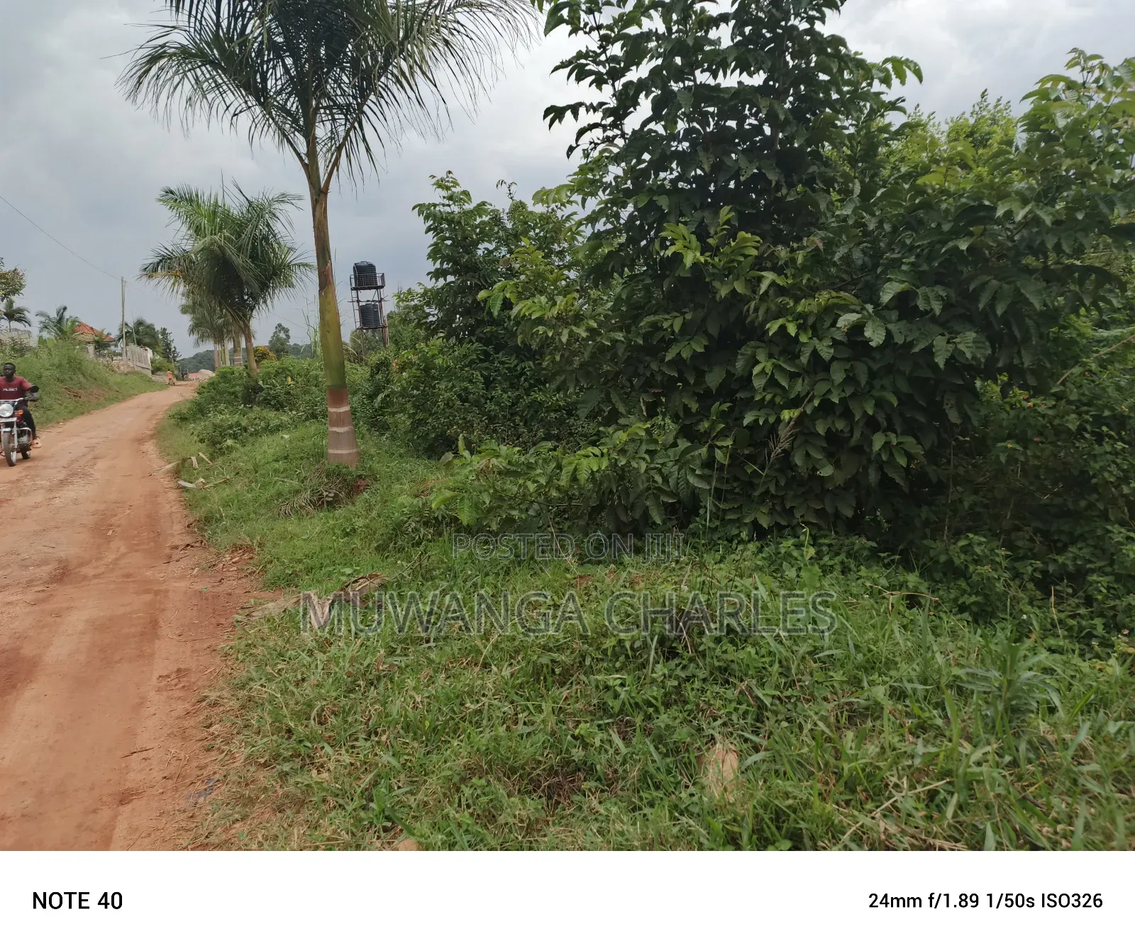 100by100ft Plot for Sale in Nangabo in Nangabo